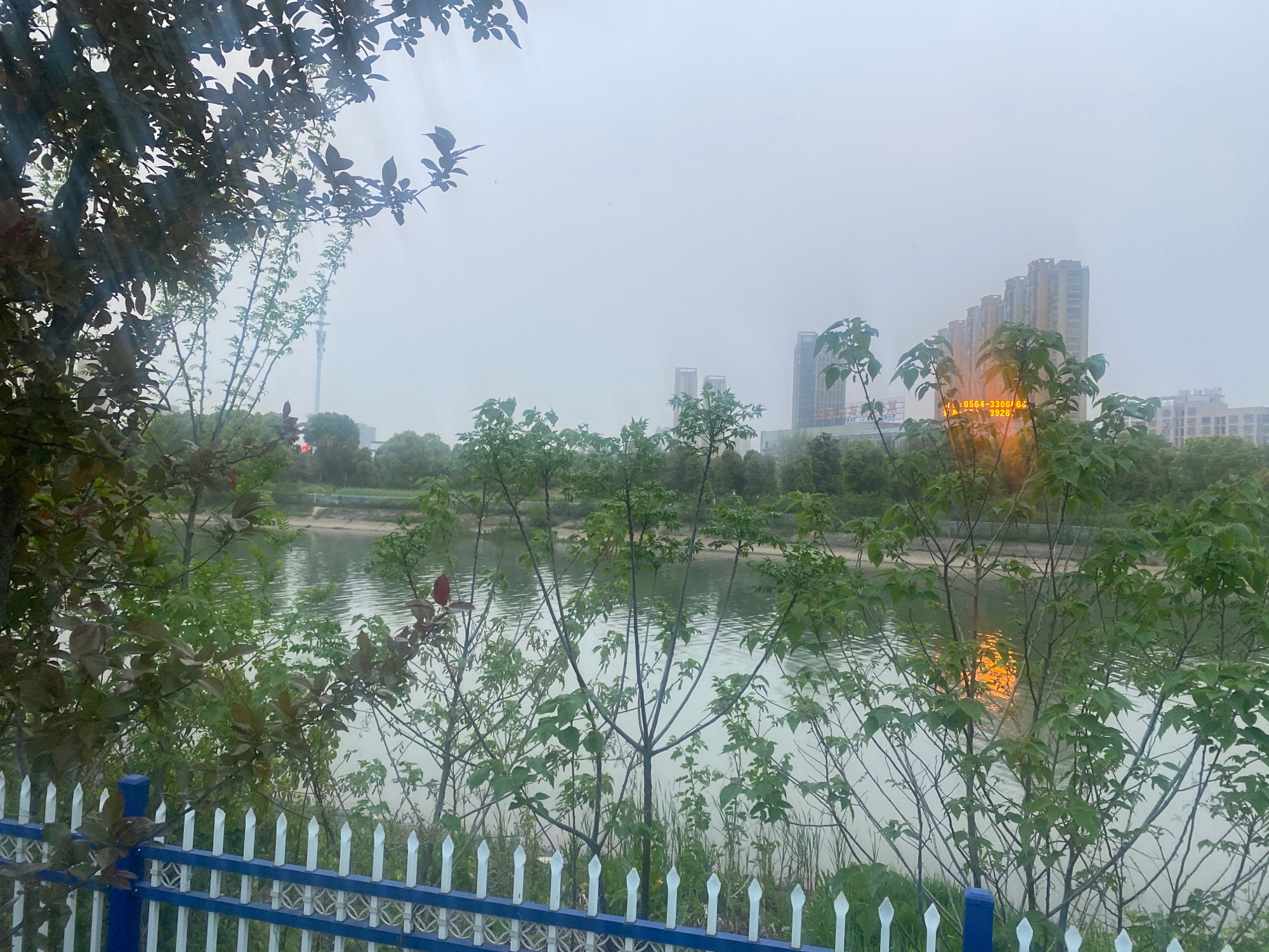 凤栖湖湿地公园旅行图片 3