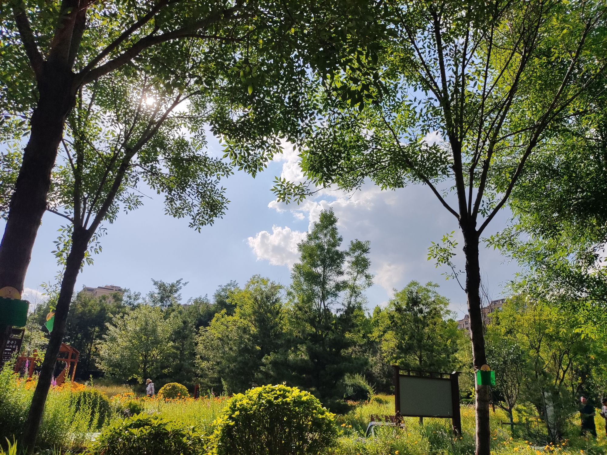 萌山水库公园旅行图片 1
