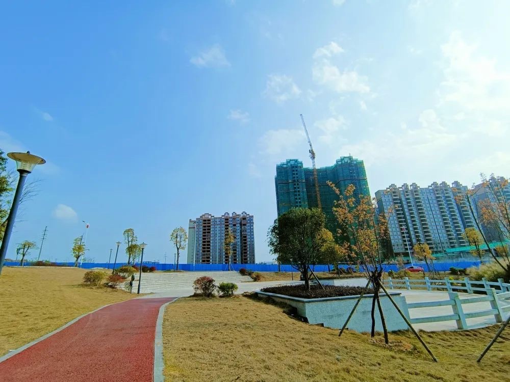 碧水湖公园旅行图片 2