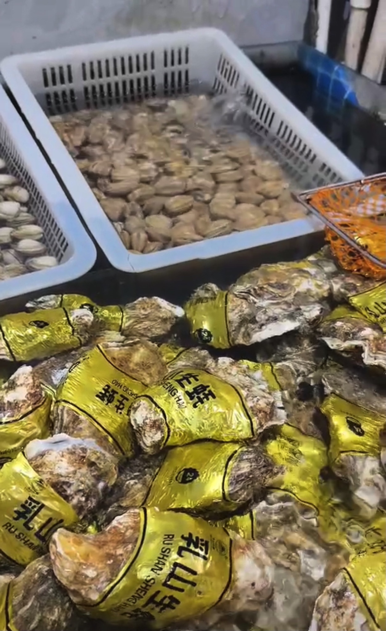 小马海鲜(杰盛里小区店)