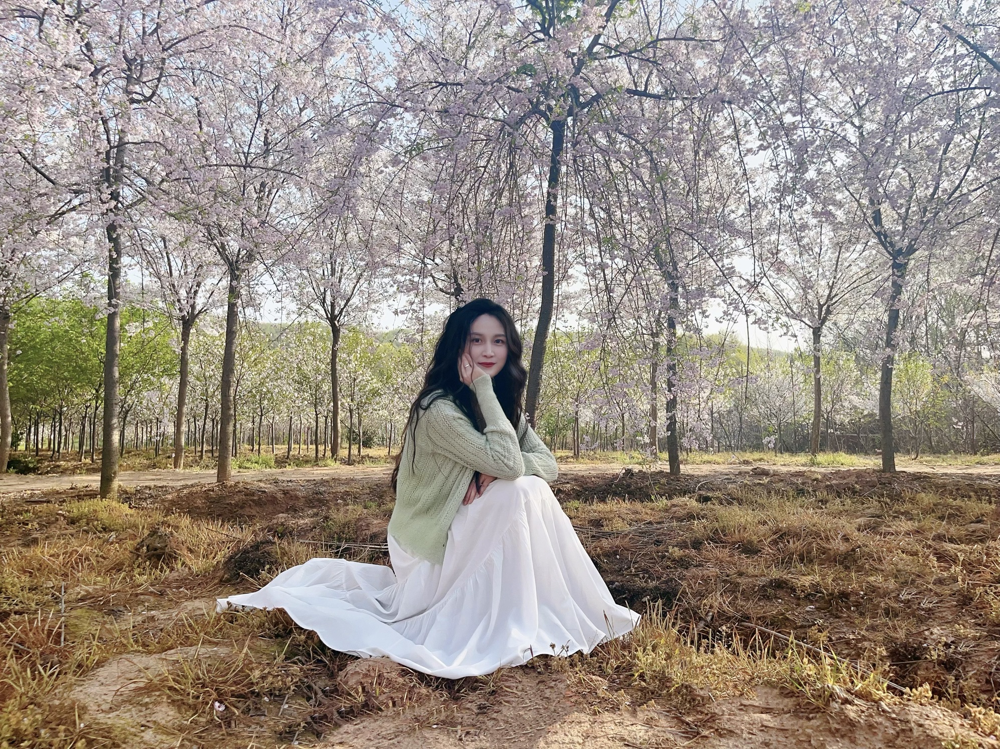 樱花谷旅行图片 3