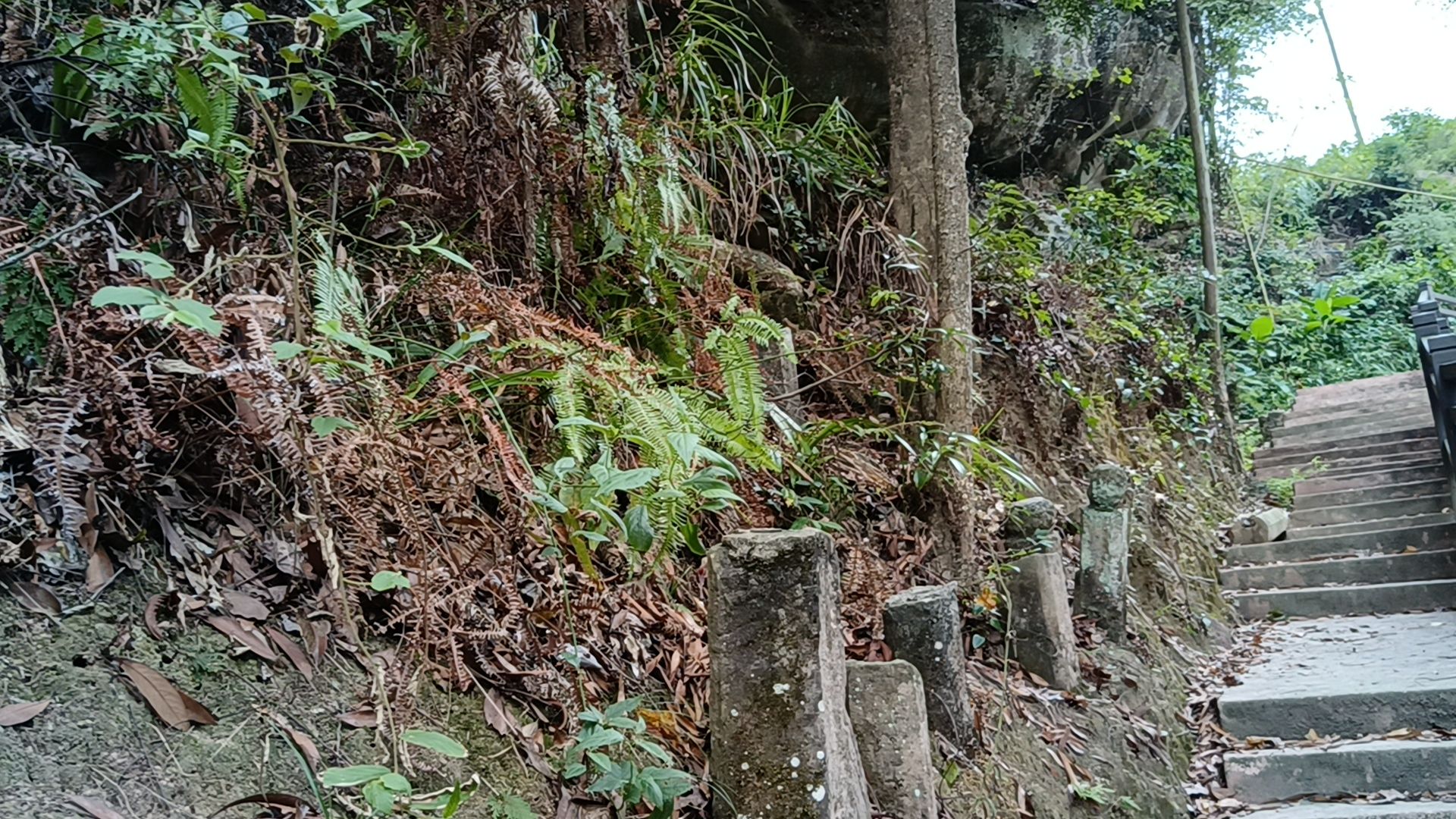 灵应岩生殖图腾文化遗址旅行图片 3