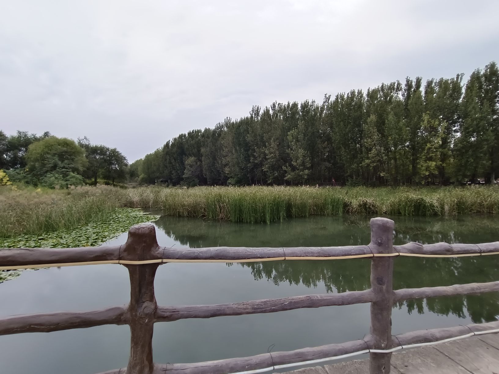 沁河郊野公园旅行图片 2