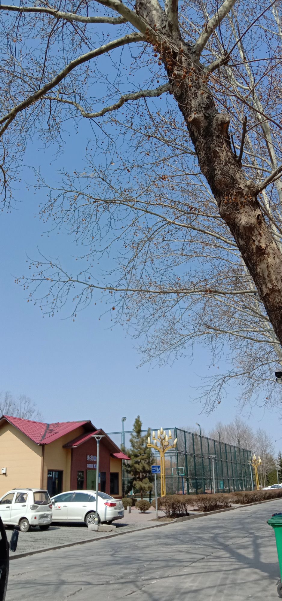 篮球公园(秀水河东路店)旅行图片 2