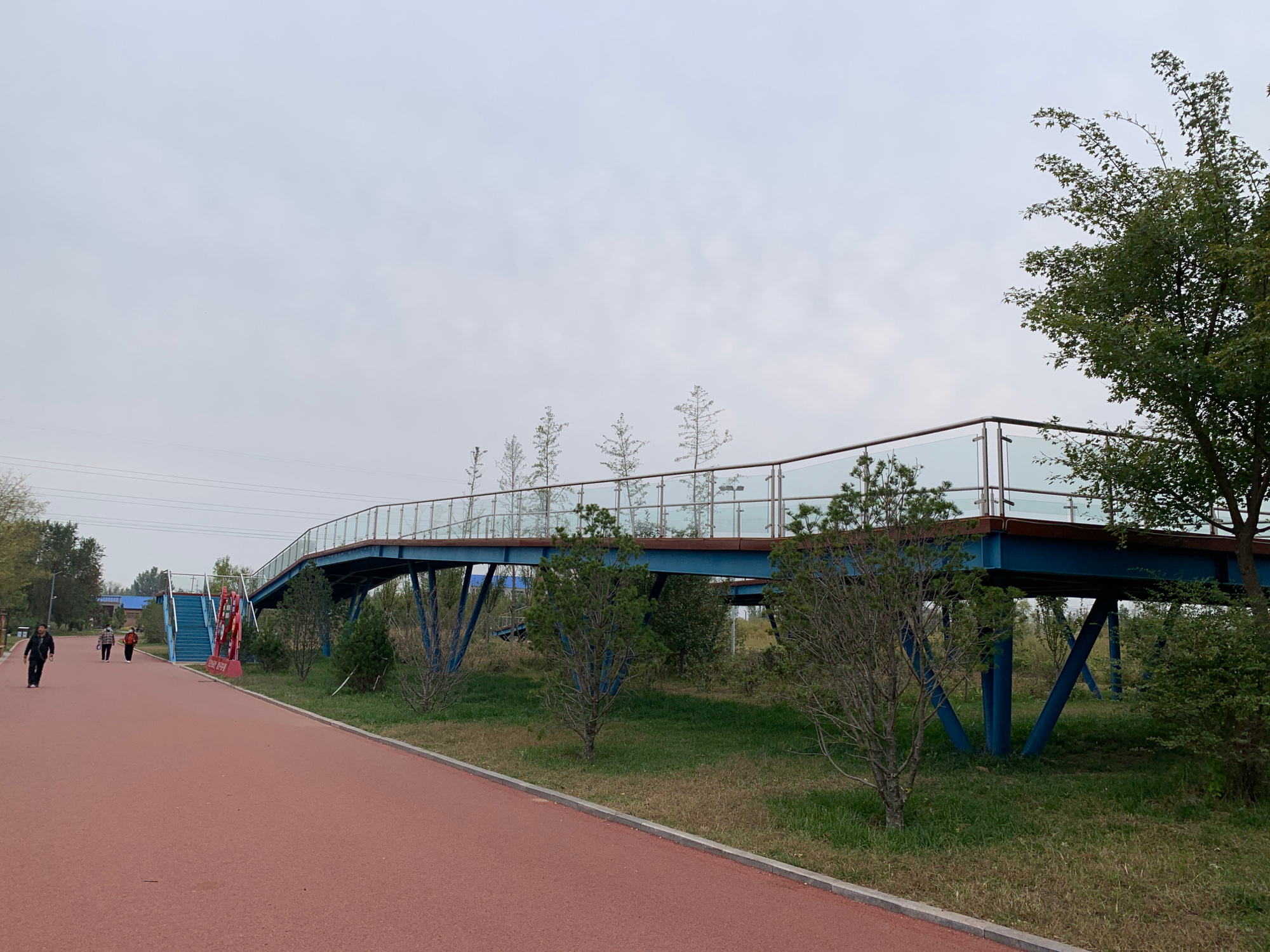 平原县南城公园旅行图片 3