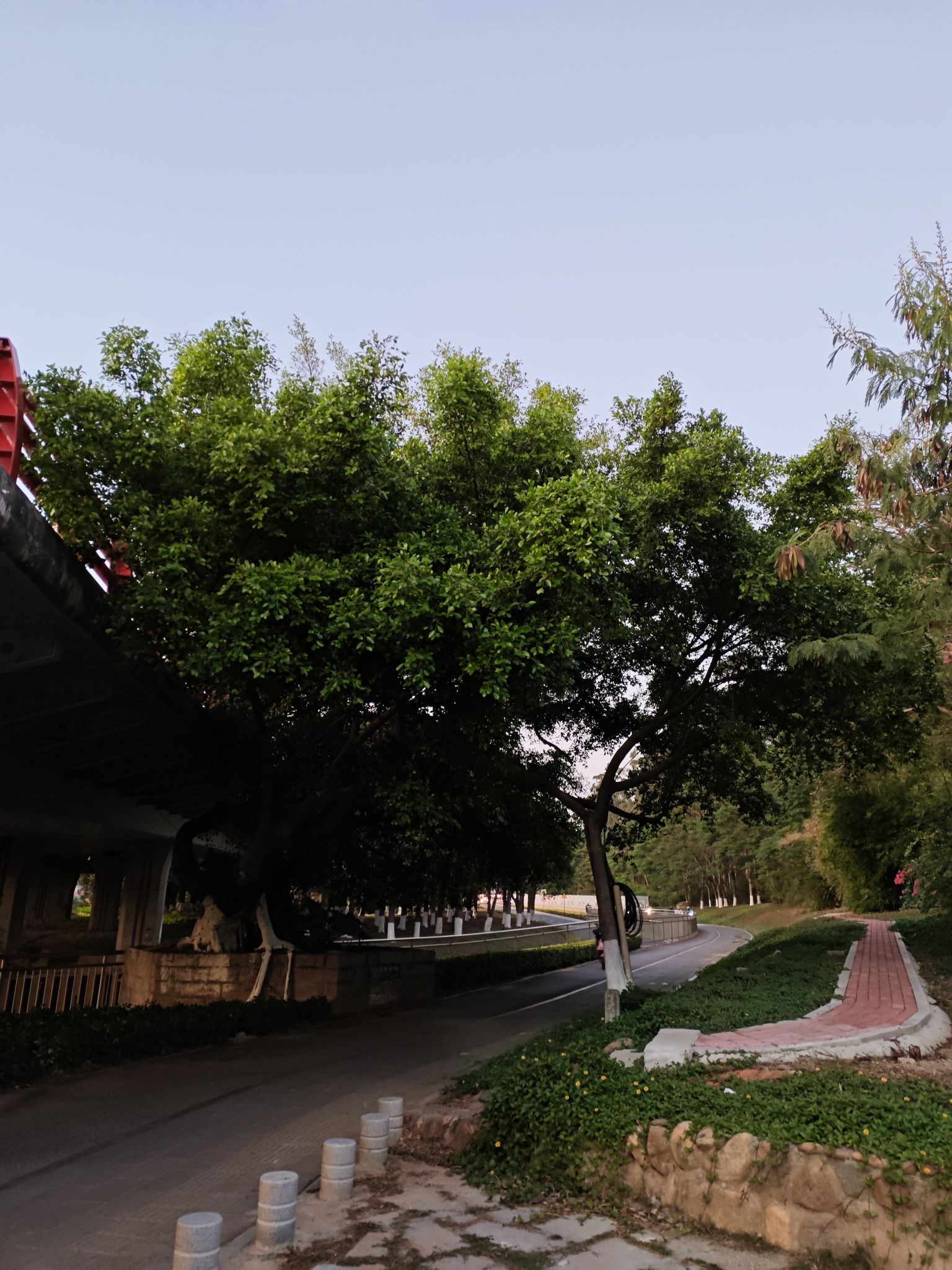 石塘立交绿地公园旅行图片 3