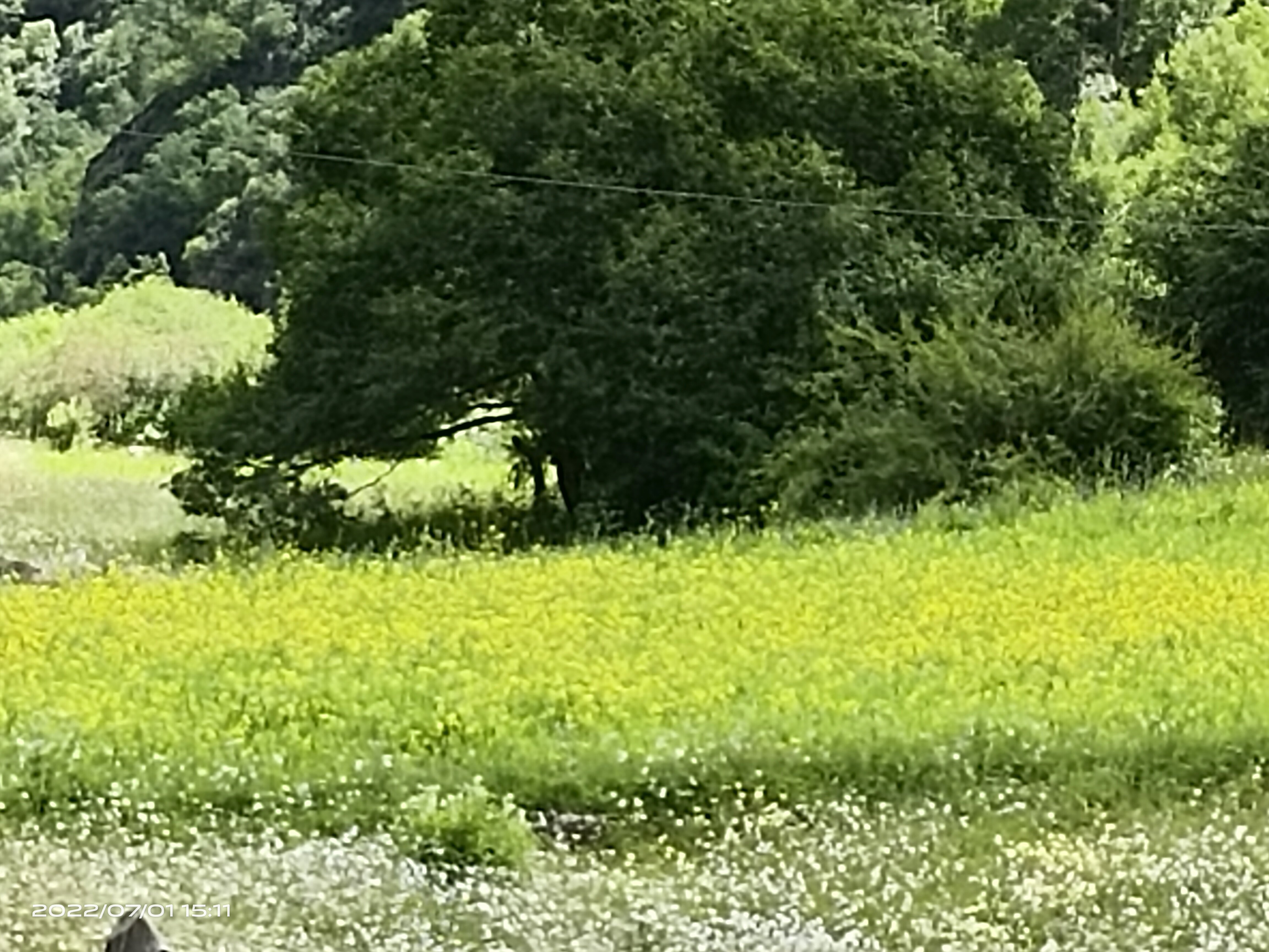 吉荣峡谷