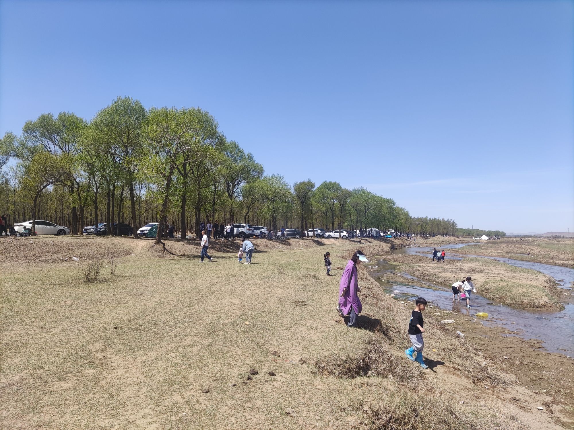 饮马河生态湿地旅游景区旅行图片 1