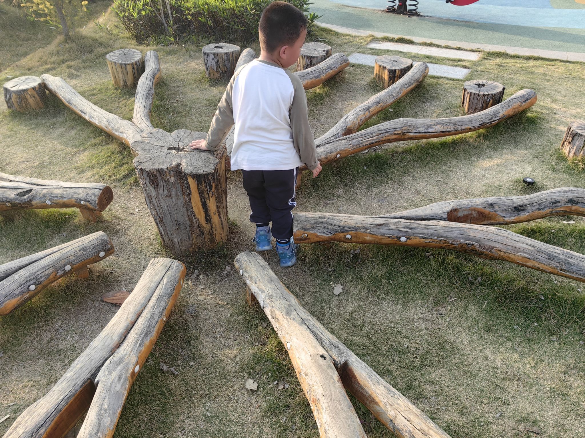 肇庆市儿童公园旅行图片 3