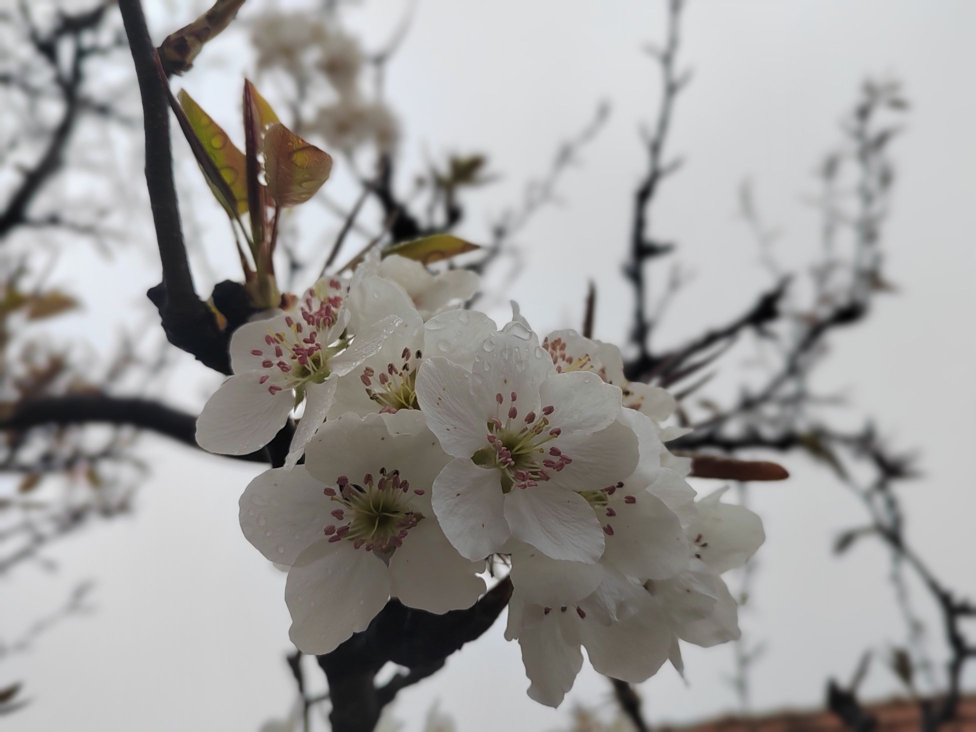 齐鲁之间旅行图片 3