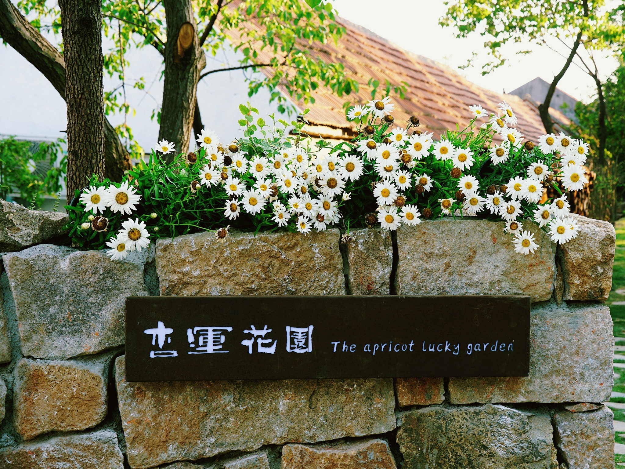 齐鲁之间旅行图片 1