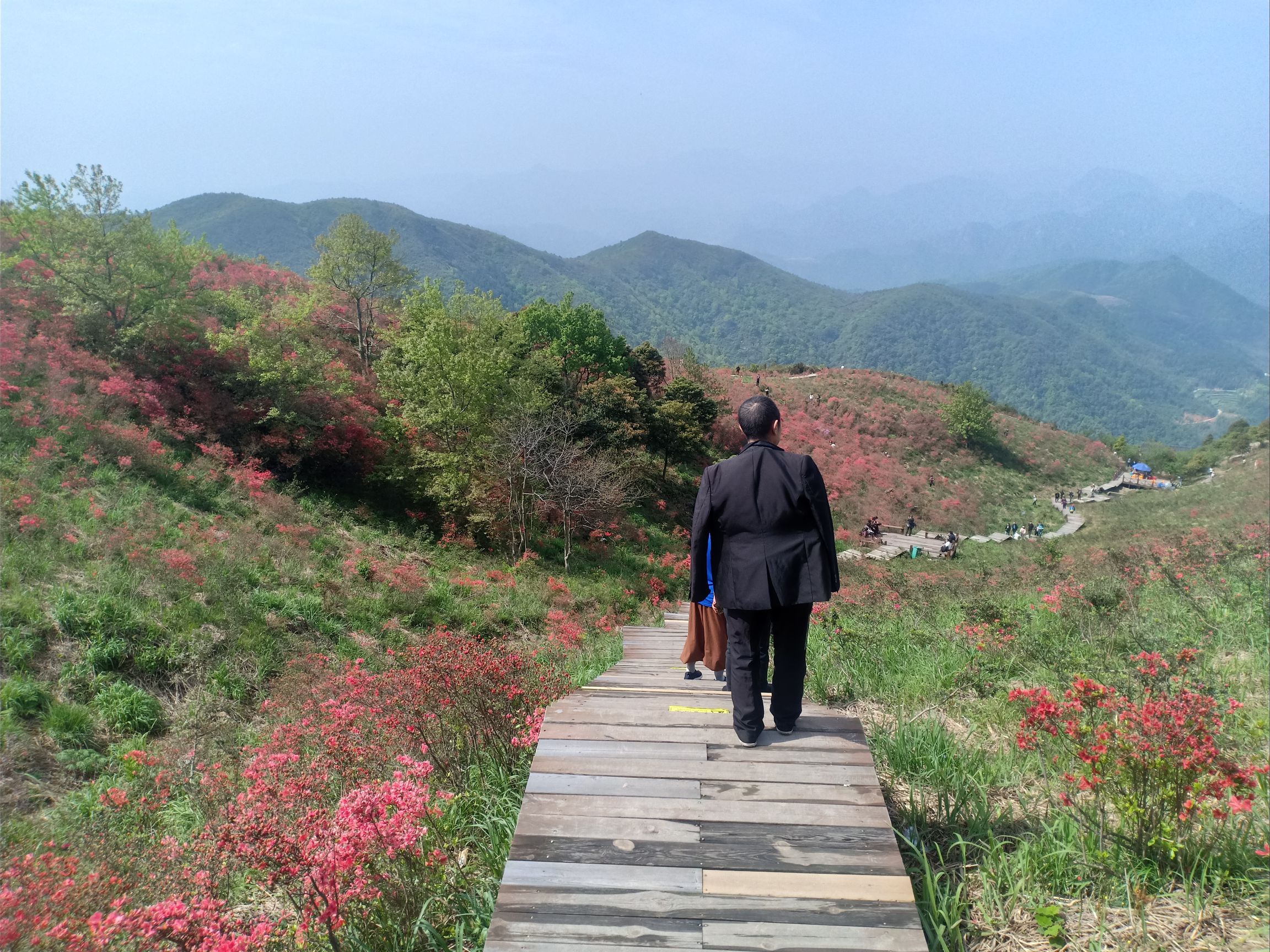 杜鹃花谷旅行图片 2