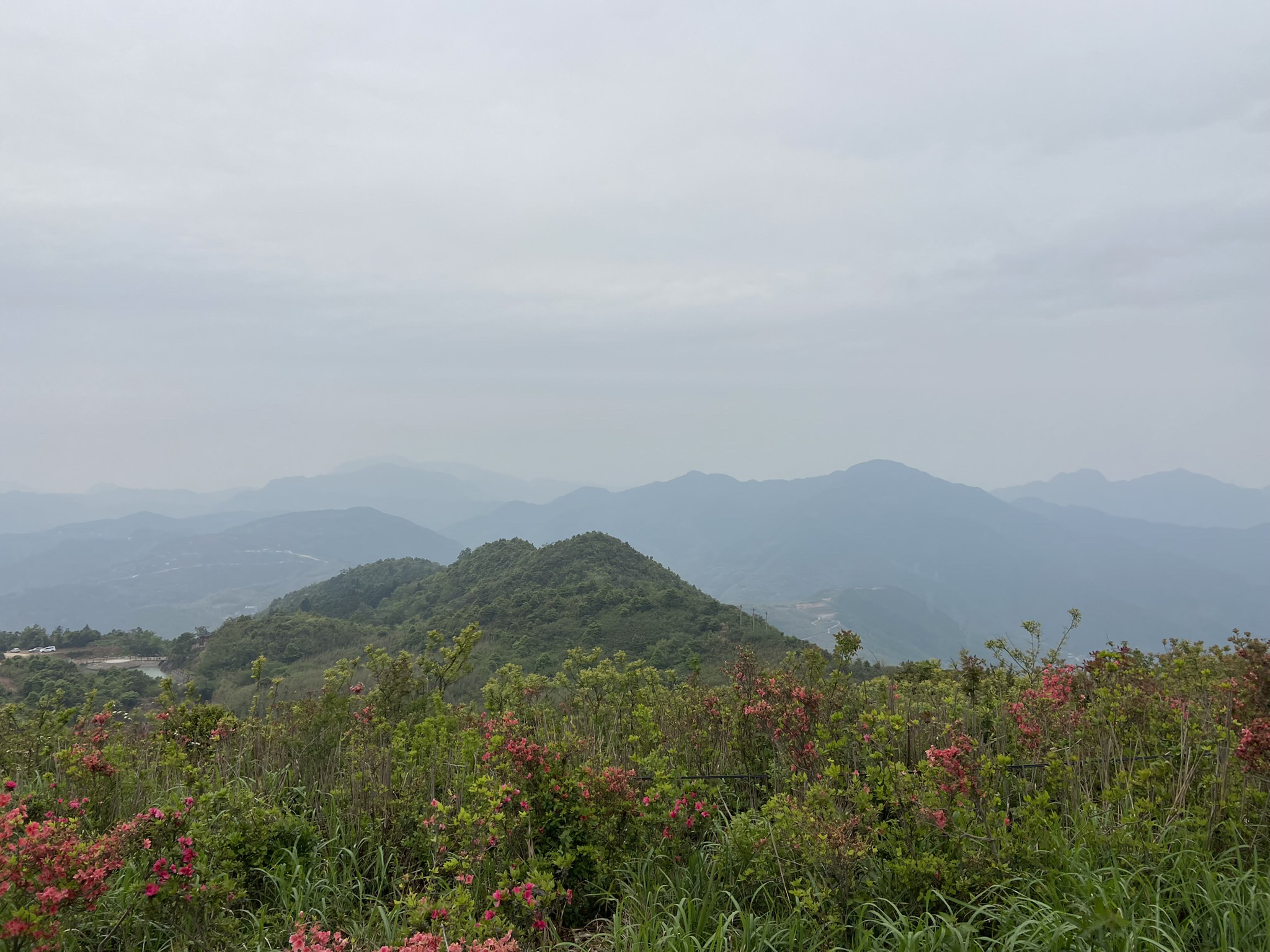 杜鹃花谷旅行图片 1