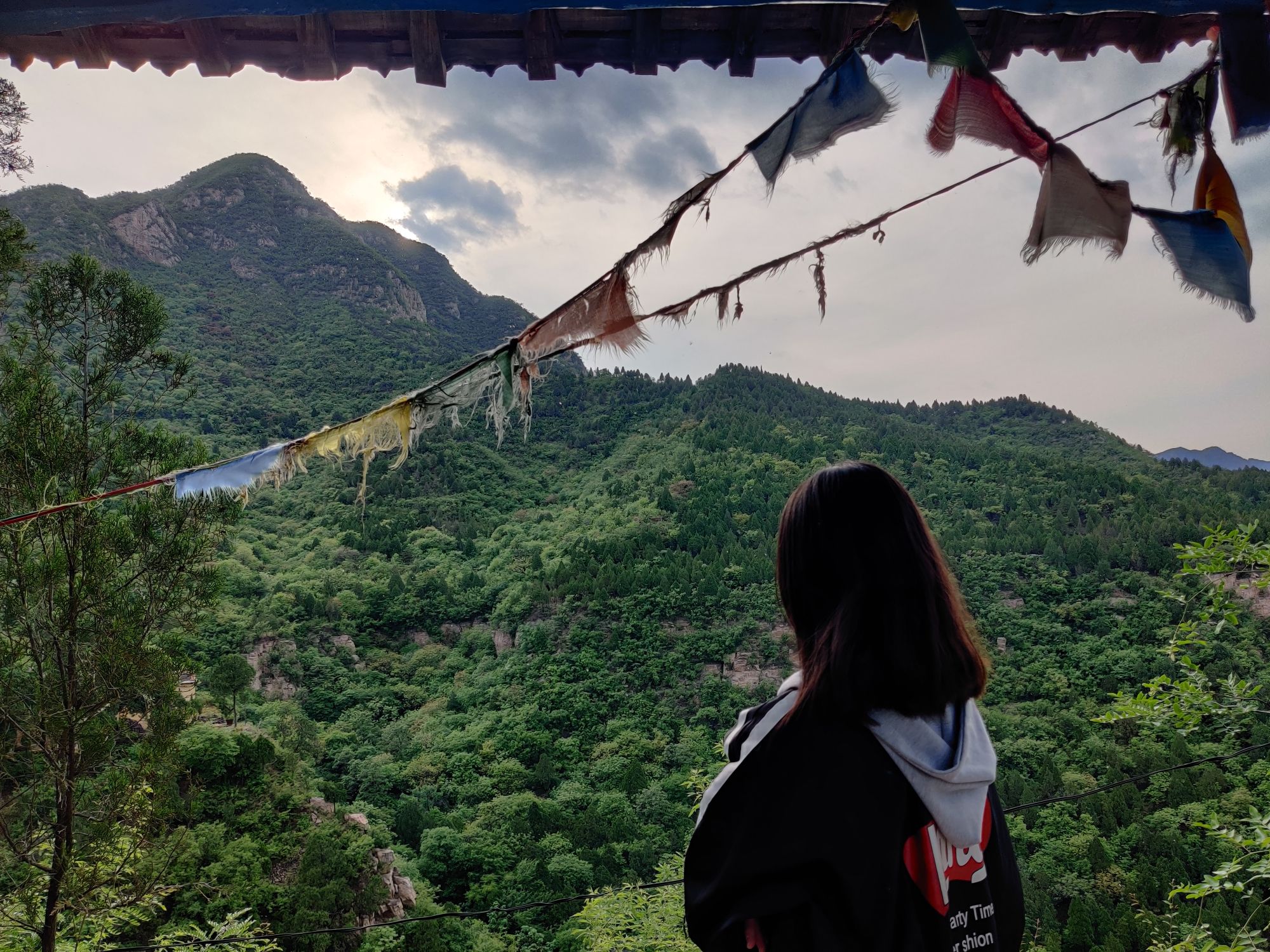 九龙山康养文化旅游景区旅行图片 1