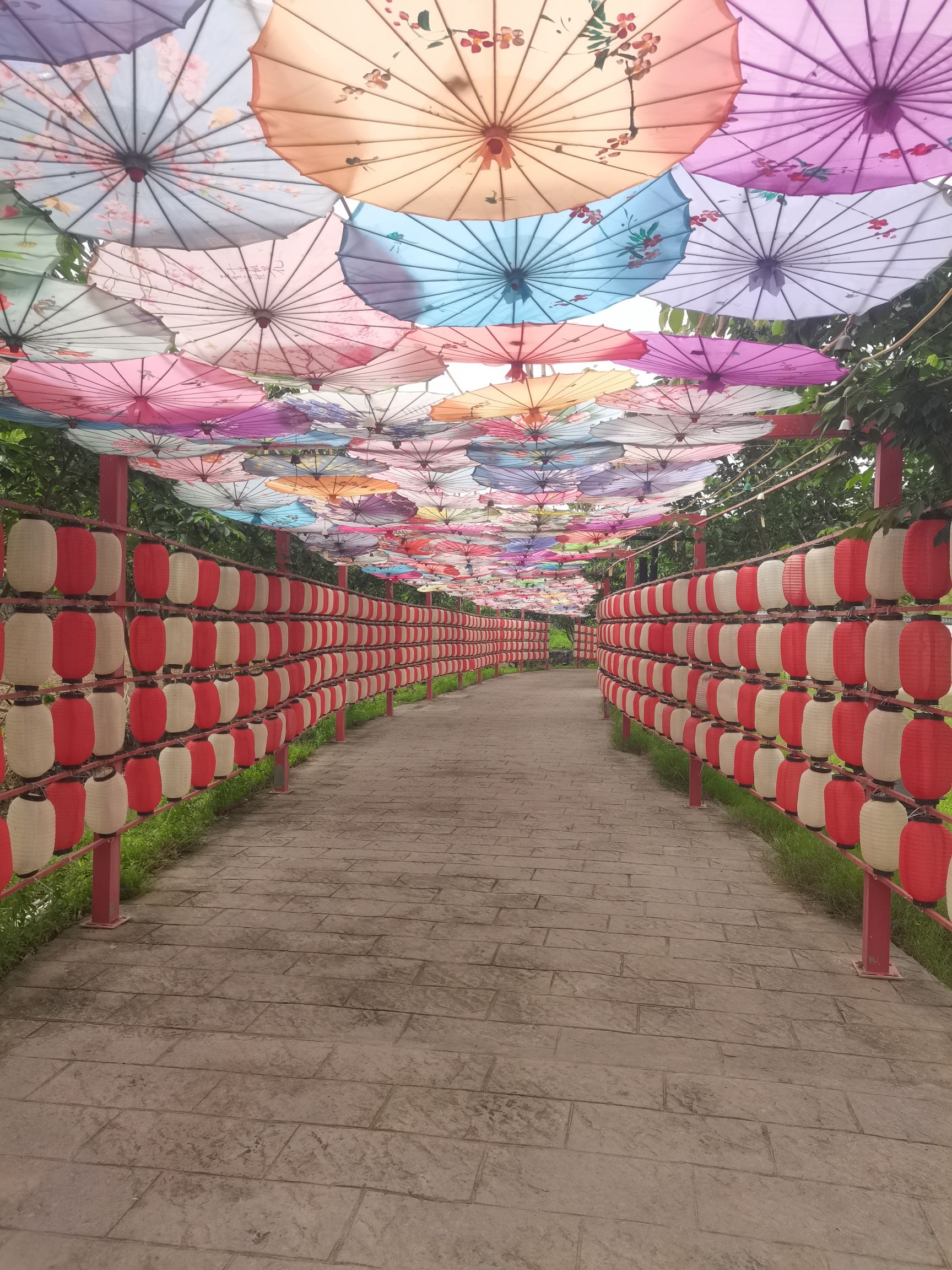 后岭花开·嬉栖谷旅行图片 1