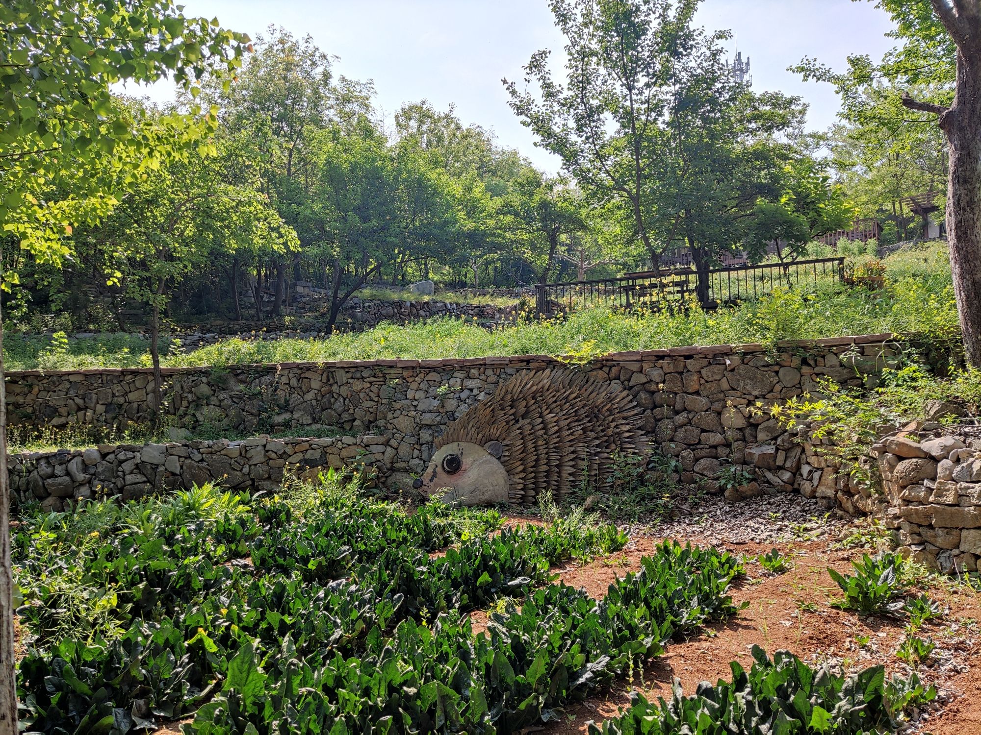 金岭坡太行艺术小镇旅行图片 2