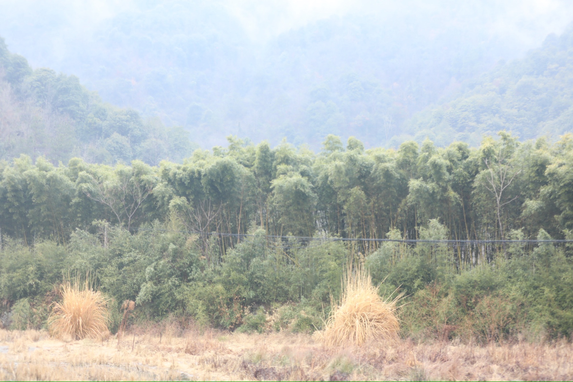 小西湖旅行图片 1