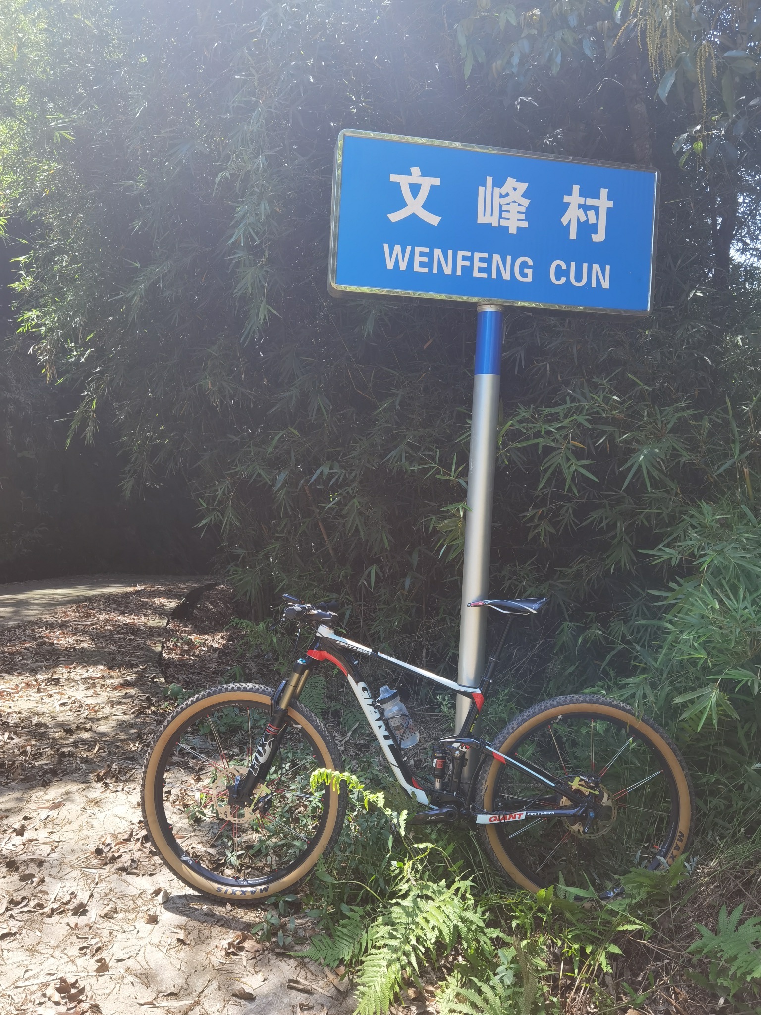 文峰塔旅行图片 3