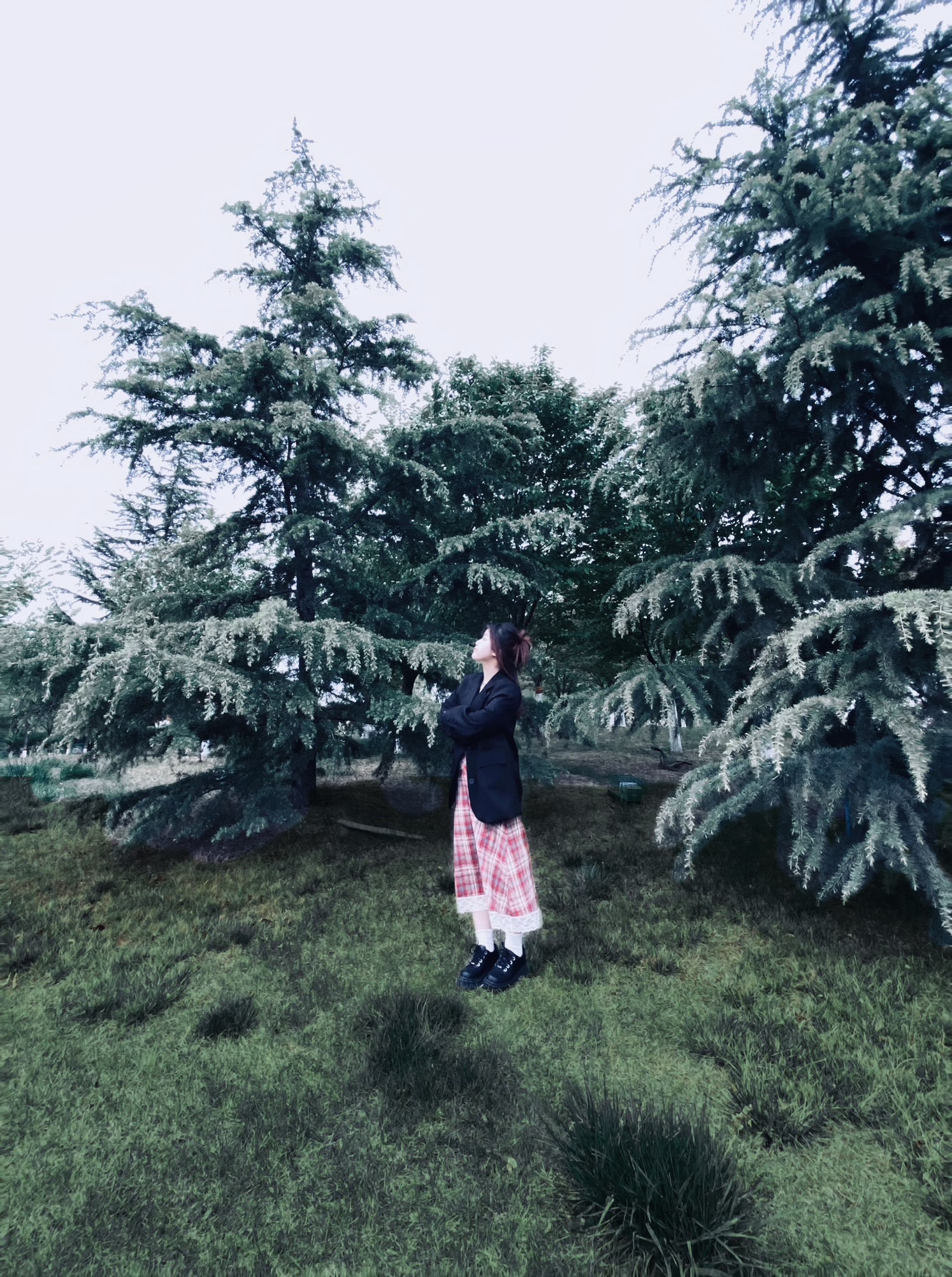 滹沱河紫地樱花海旅行图片 2