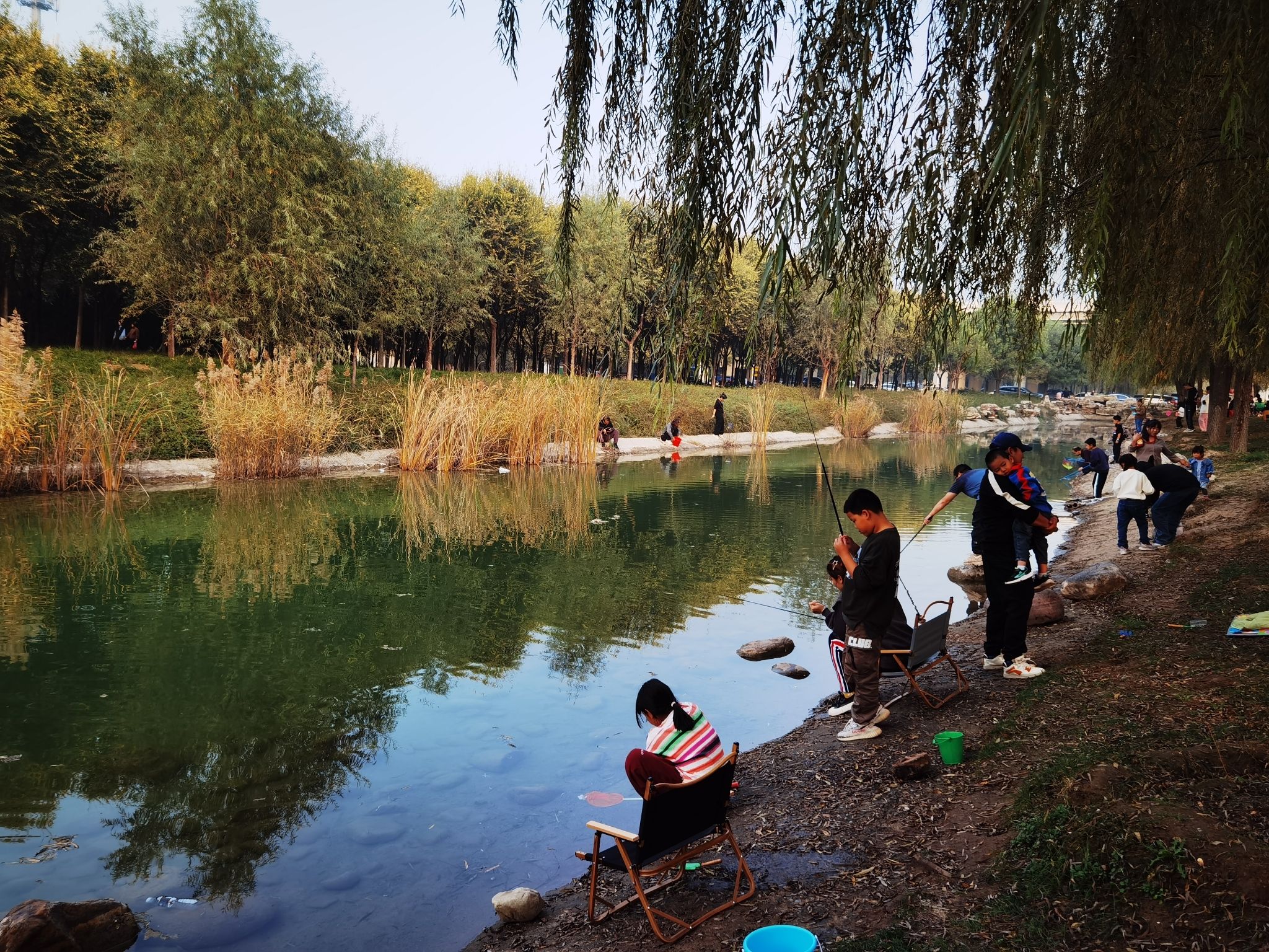 滹沱河紫地樱花海旅行图片 2