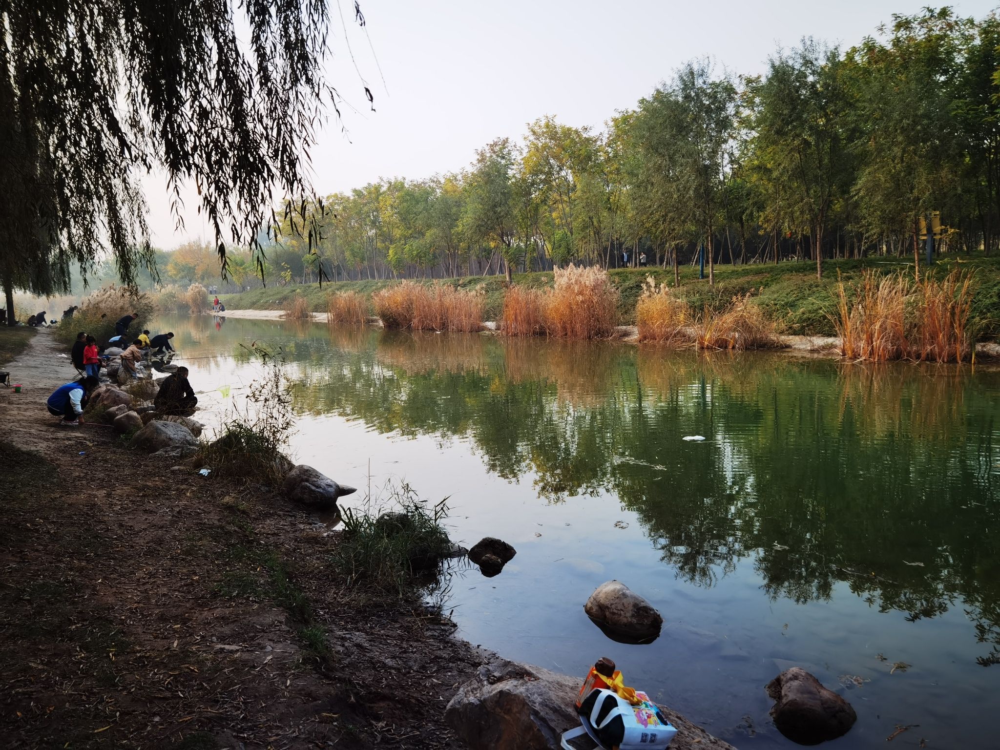 滹沱河紫地樱花海旅行图片 1
