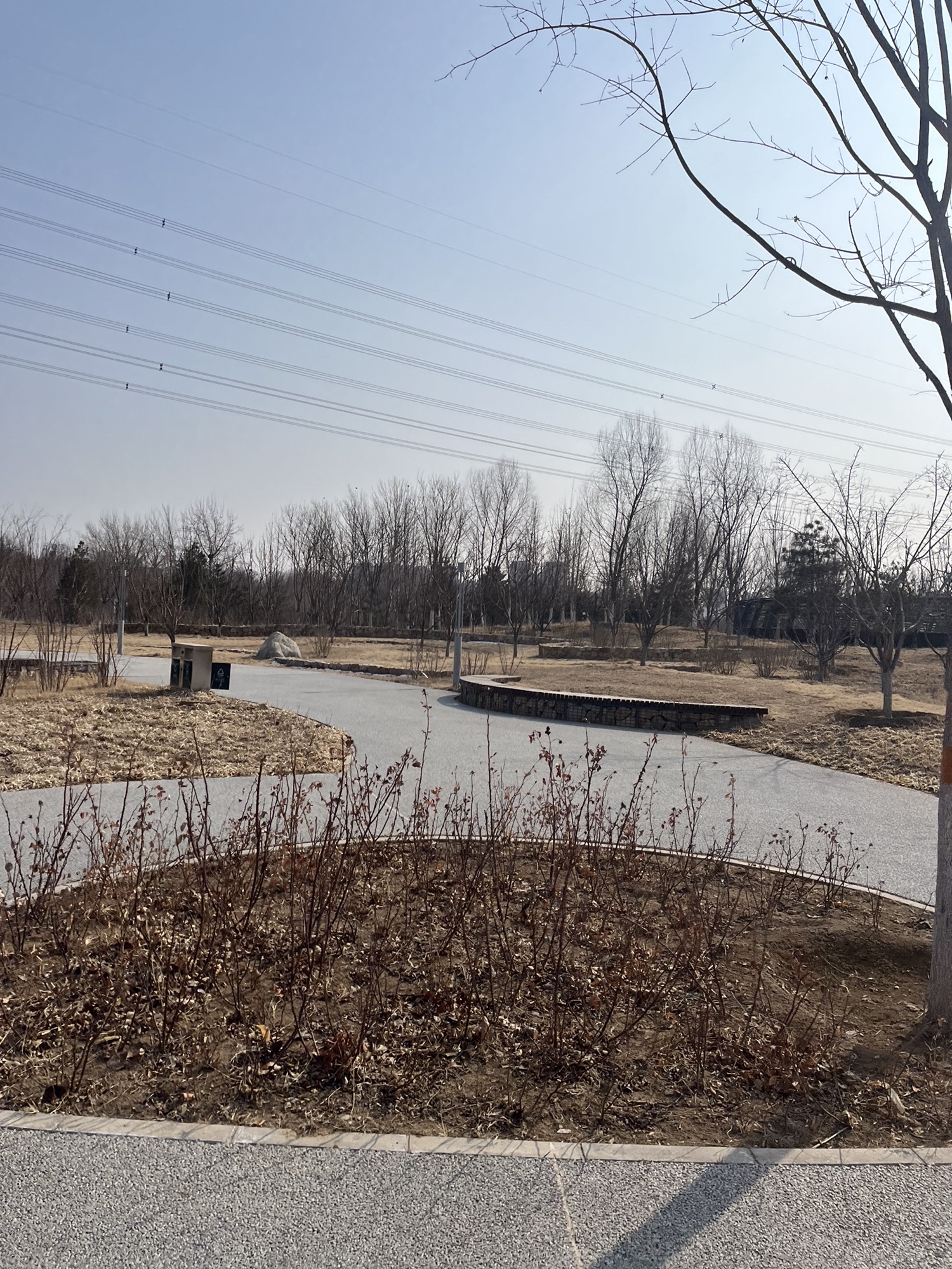 梨园城市森林公园旅行图片 2