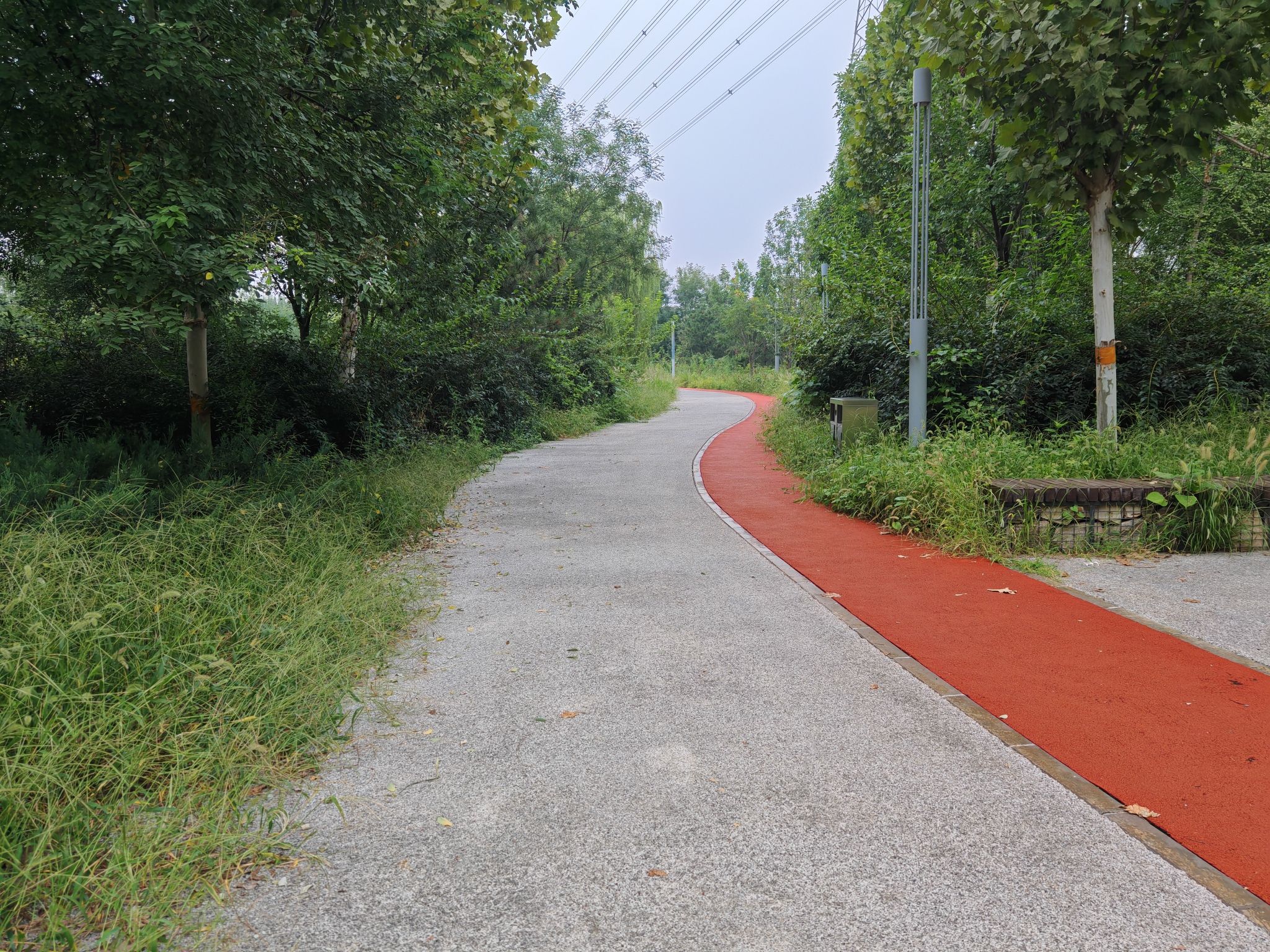 梨园城市森林公园旅行图片 2