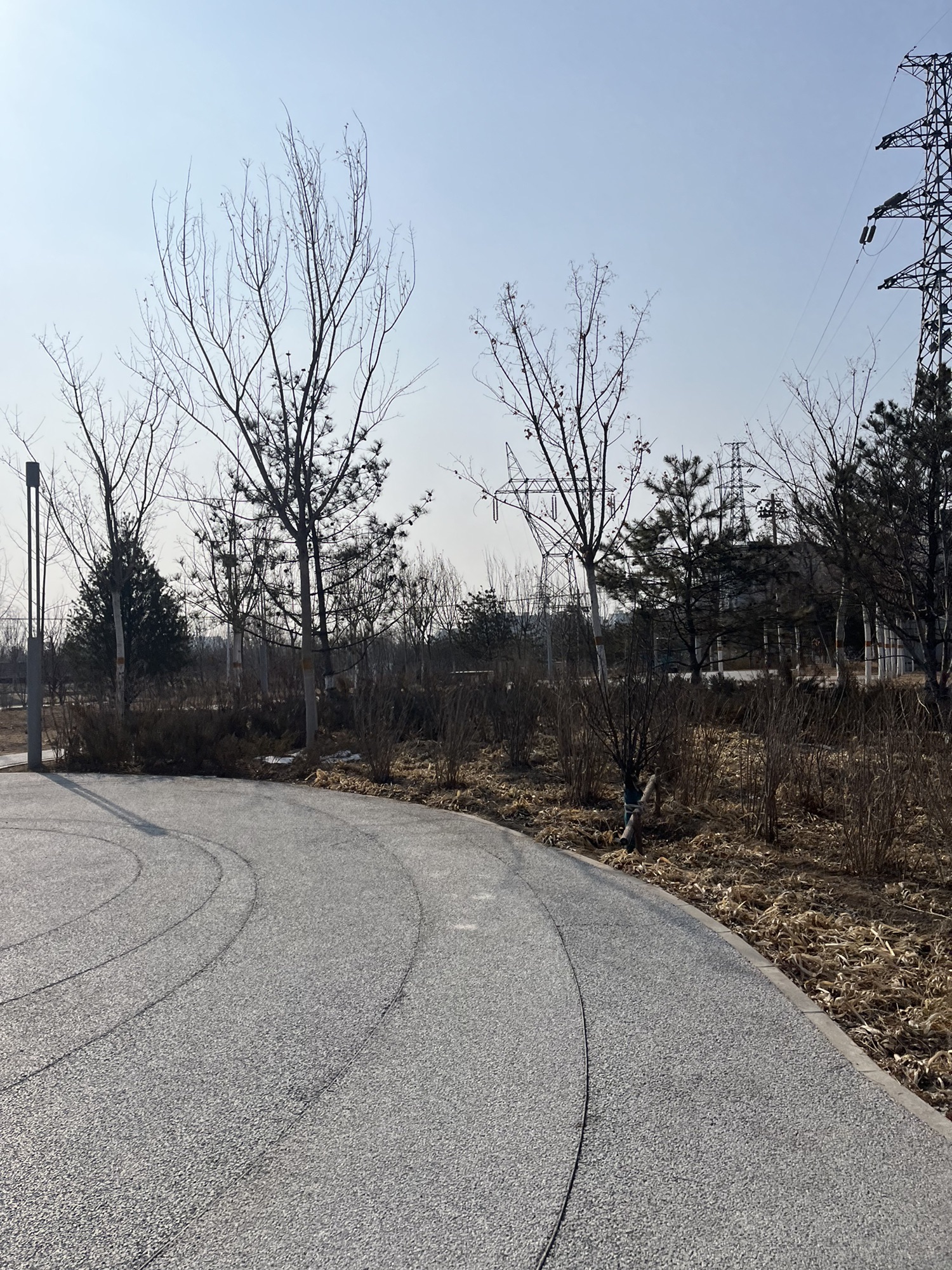 梨园城市森林公园旅行图片 3