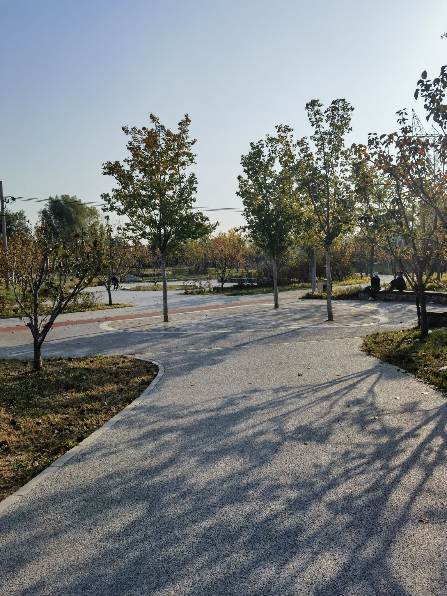 梨园城市森林公园旅行图片 2