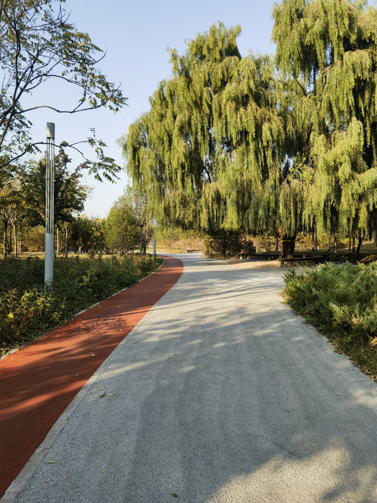 梨园城市森林公园旅行图片 3