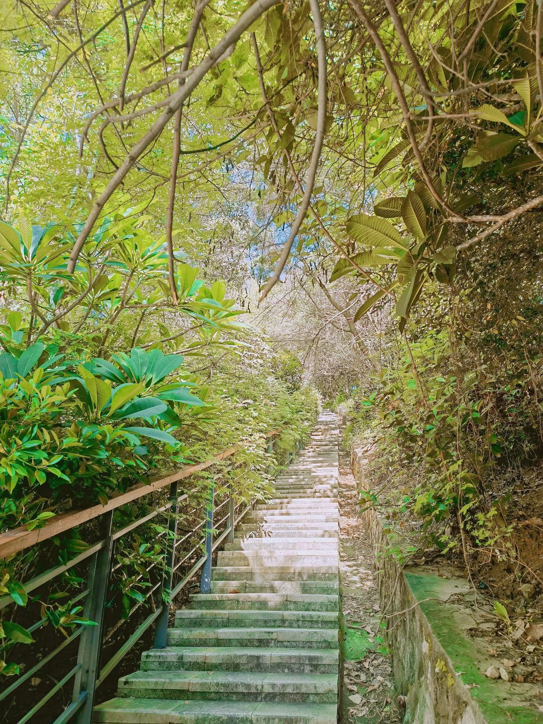 大窝景区旅行图片 1