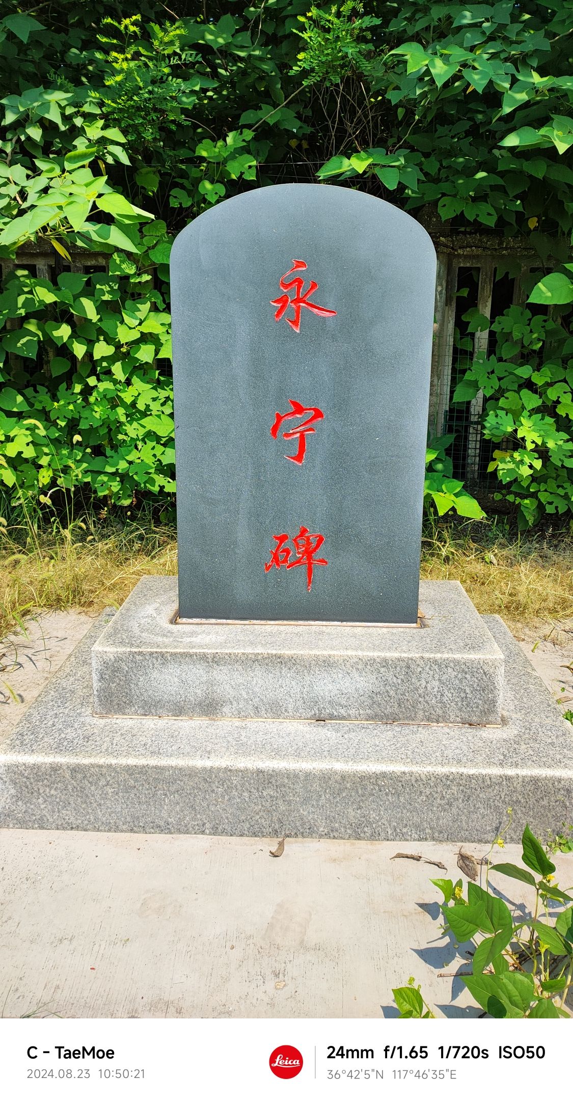 永宁碑旅行图片 1