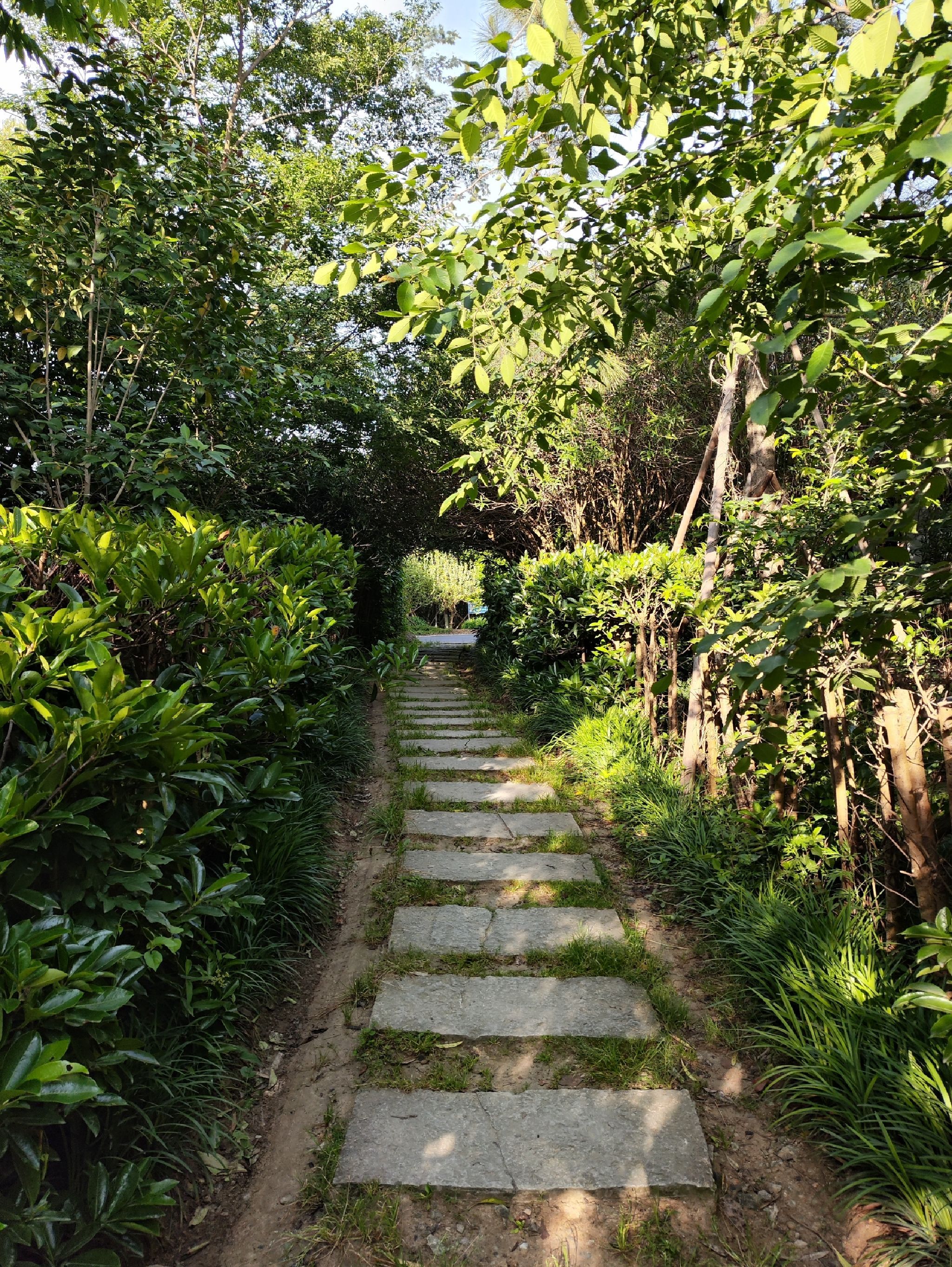 曙光湖公园旅行图片 3