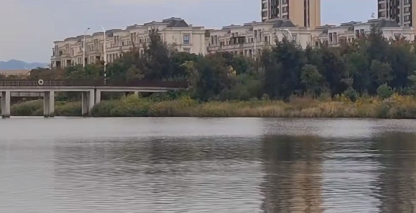 曙光湖公园旅行图片 2