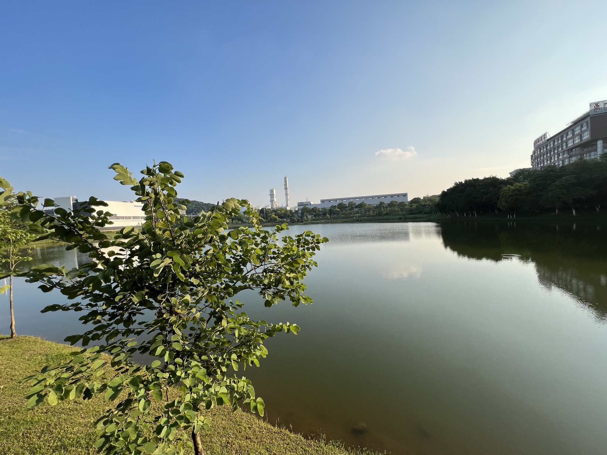 发展公园旅行图片 3