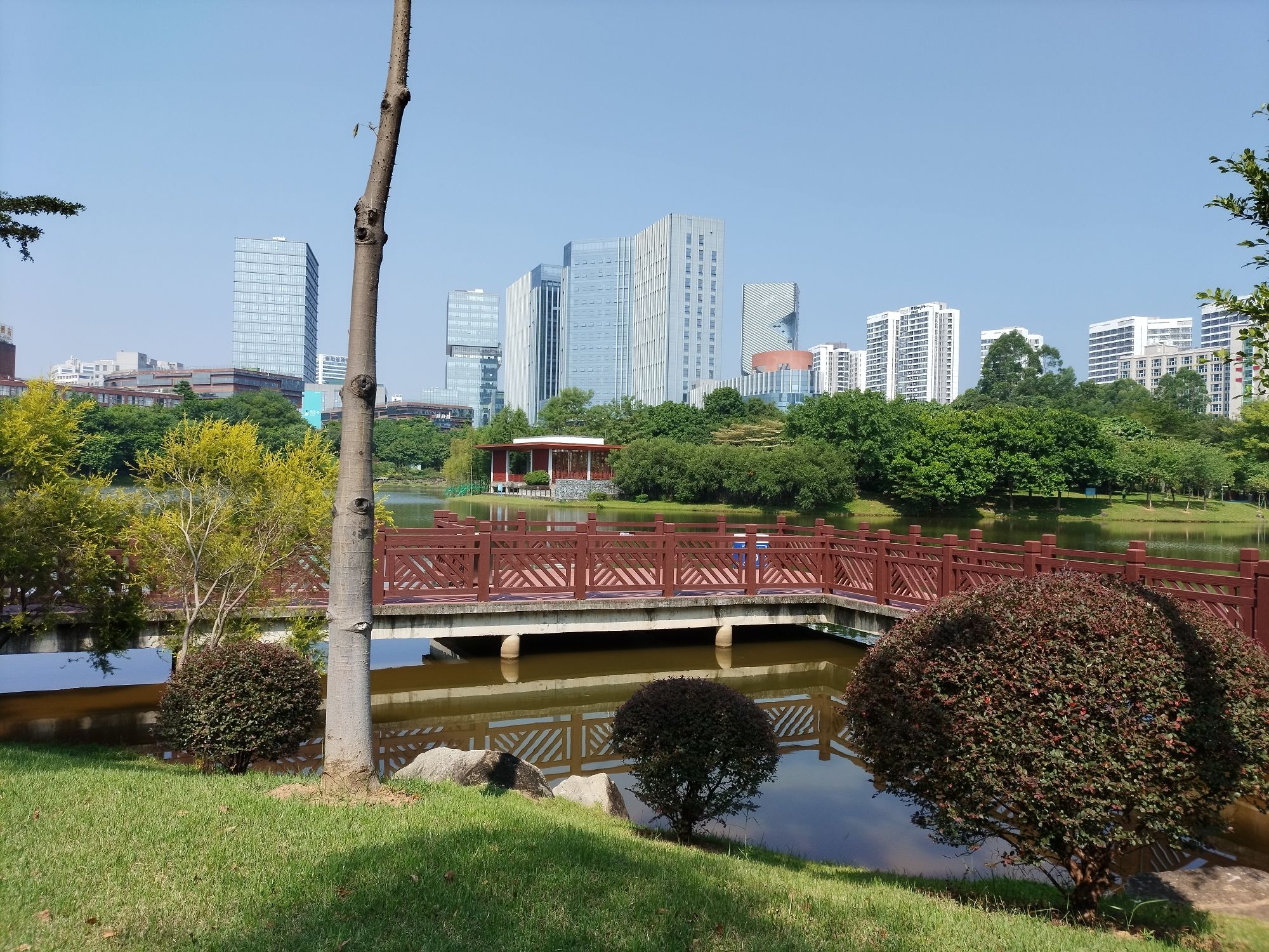 发展公园旅行图片 2