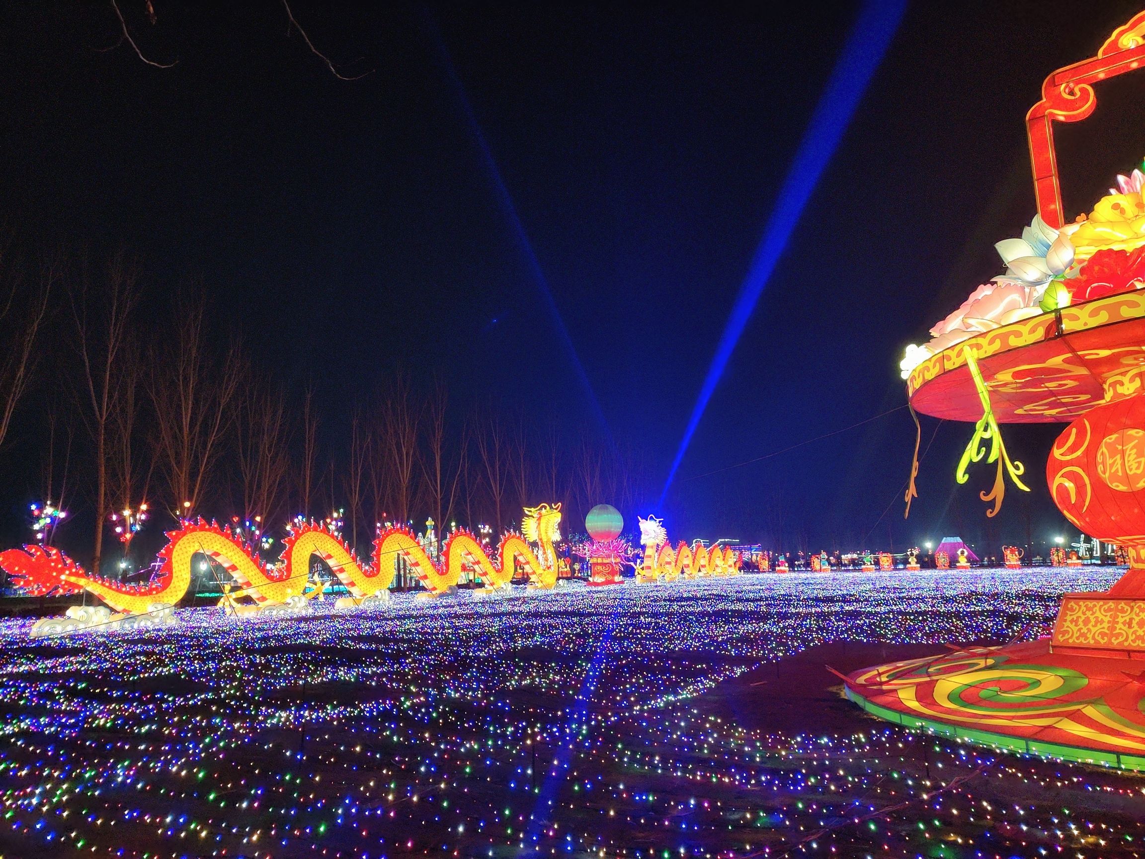 乾兆花海旅行图片 1