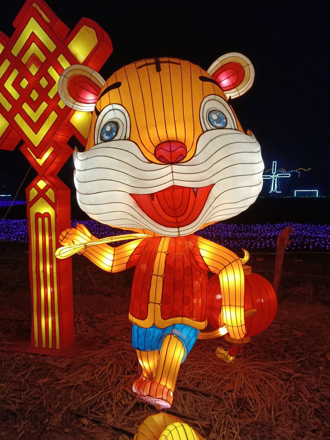 乾兆花海旅行图片 1