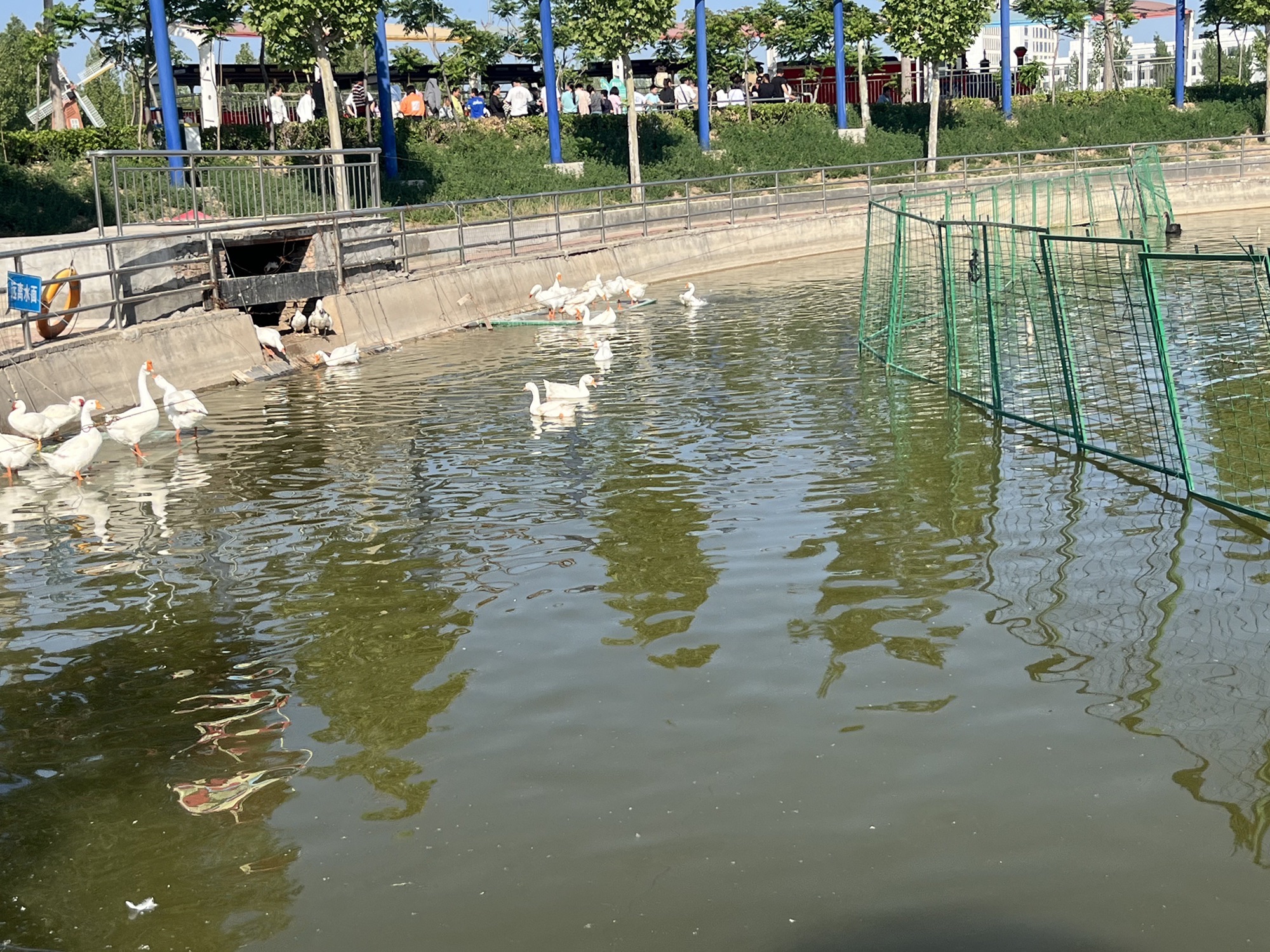 乾兆花海旅行图片 2