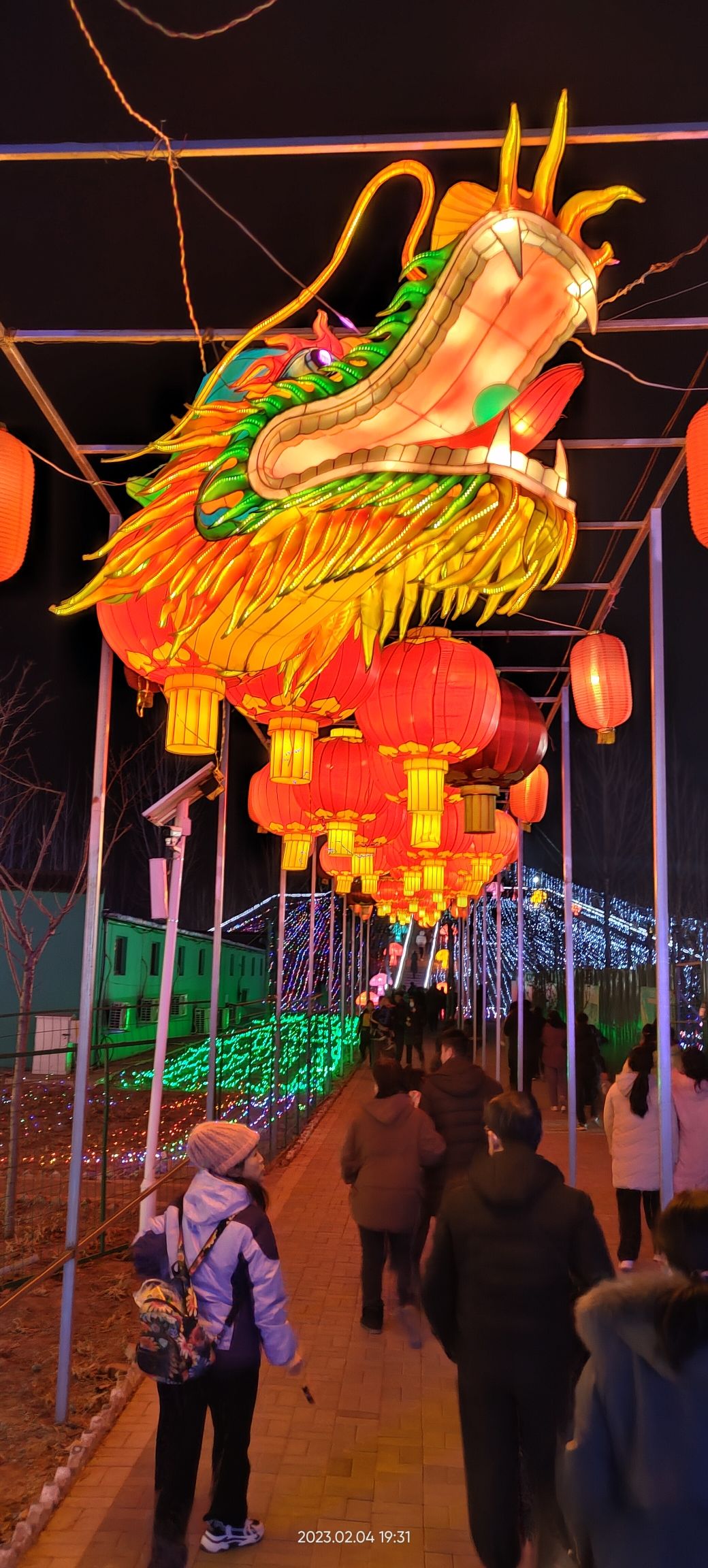 乾兆花海旅行图片 2