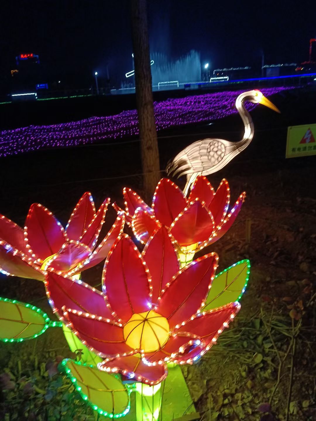 乾兆花海旅行图片 2