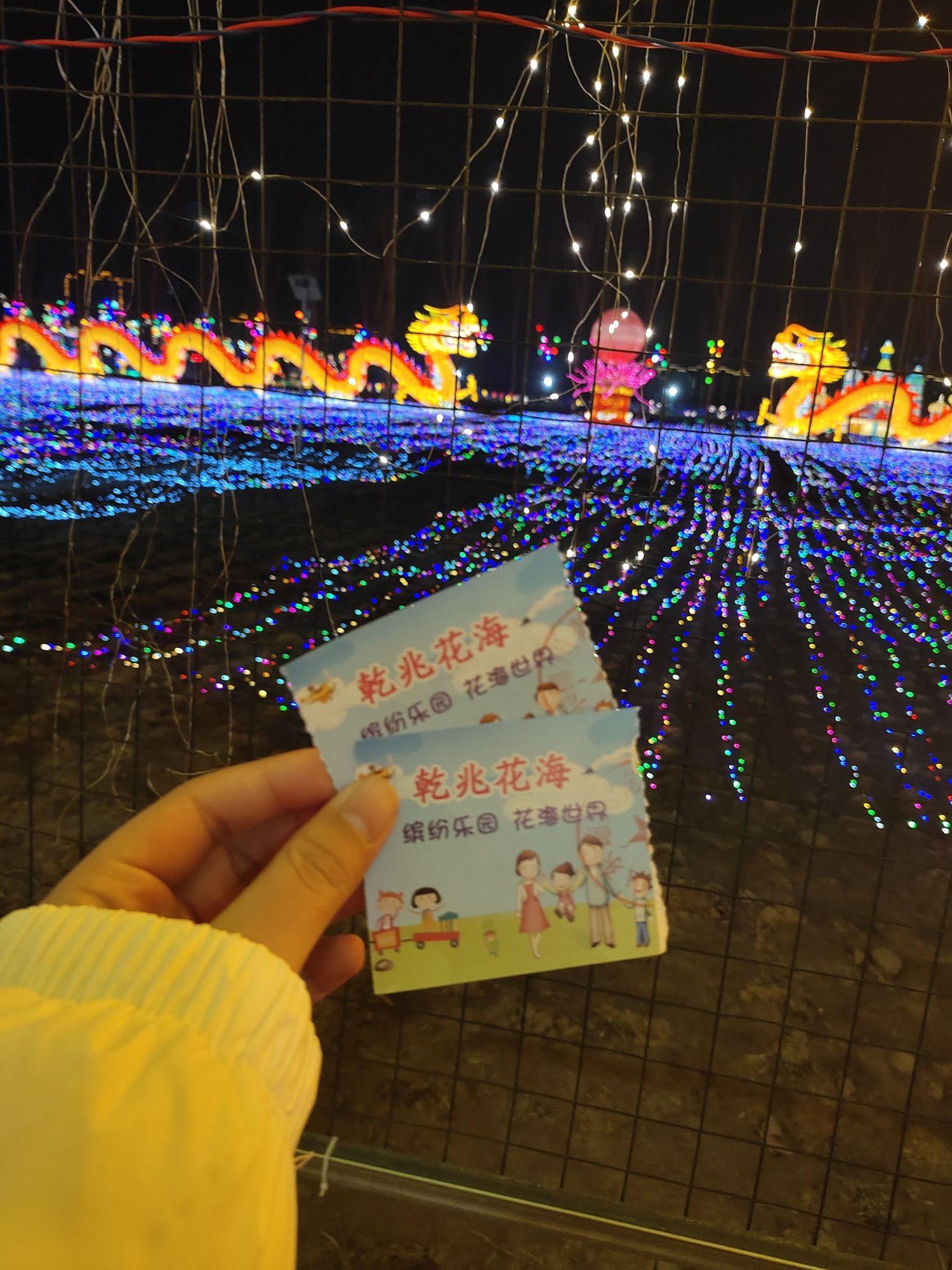 乾兆花海旅行图片 2