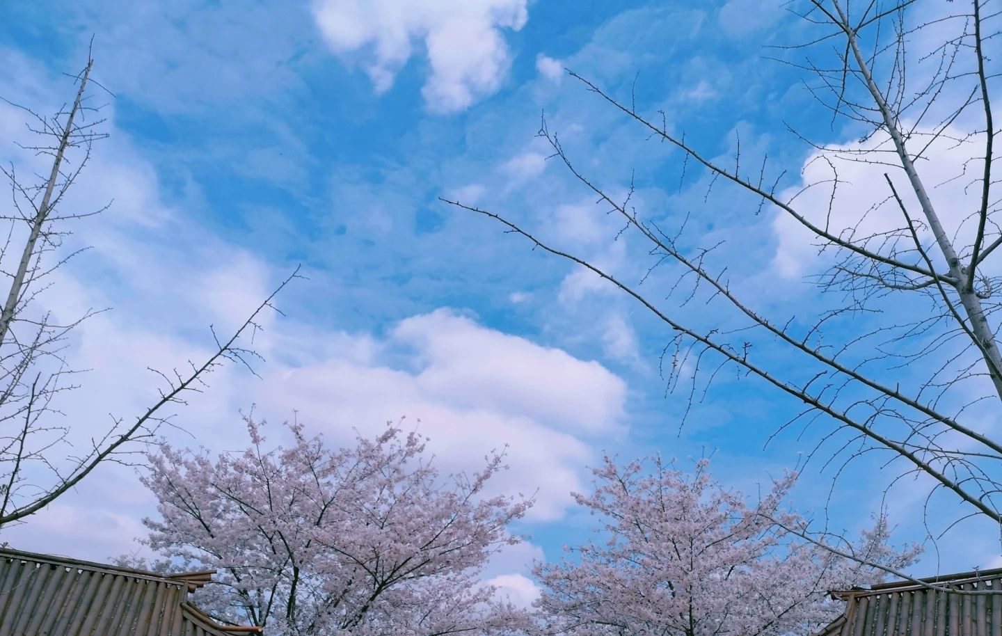 芳菲山谷旅行图片 1