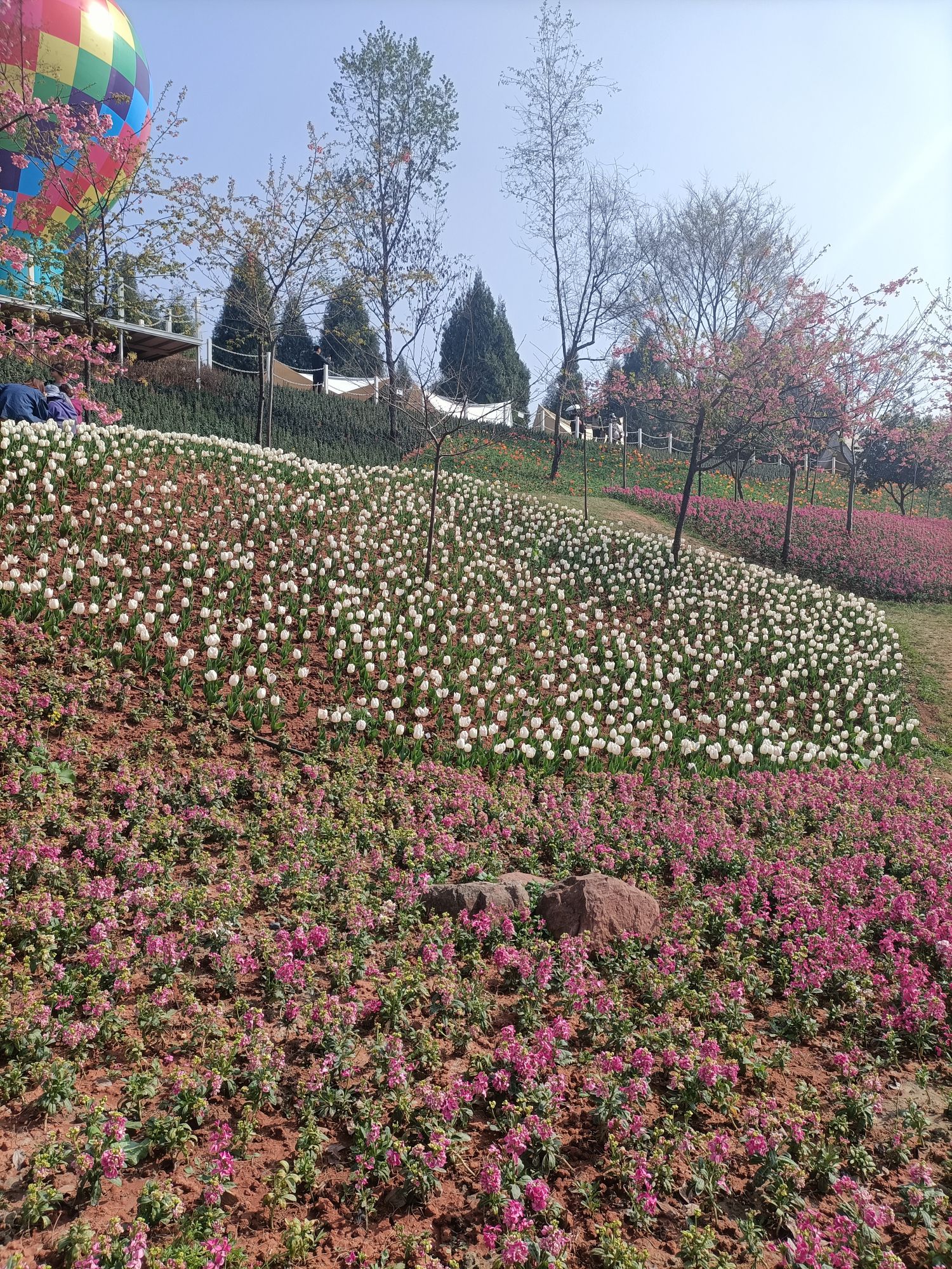 芳菲山谷旅行图片 3