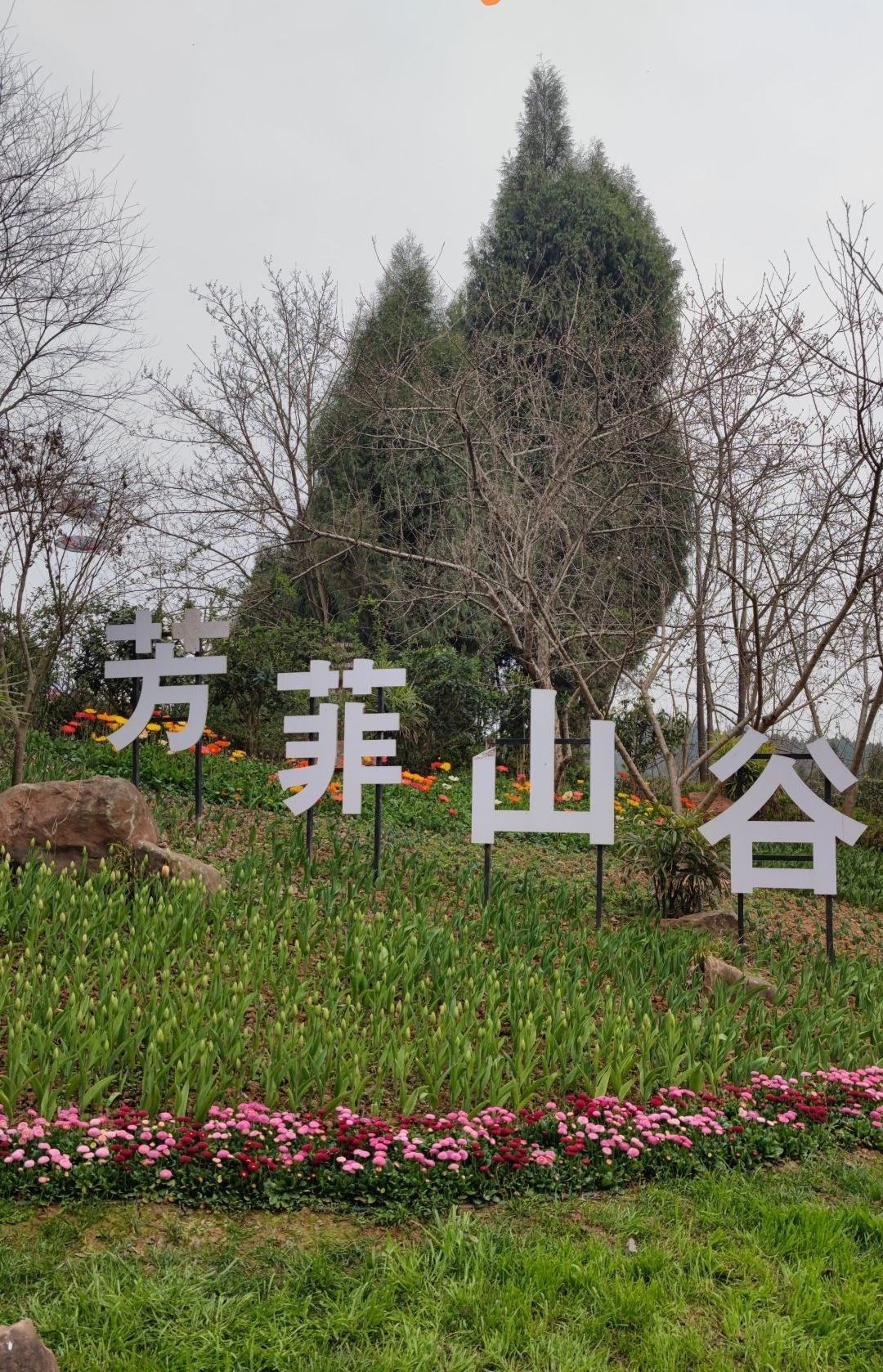 芳菲山谷旅行图片 2
