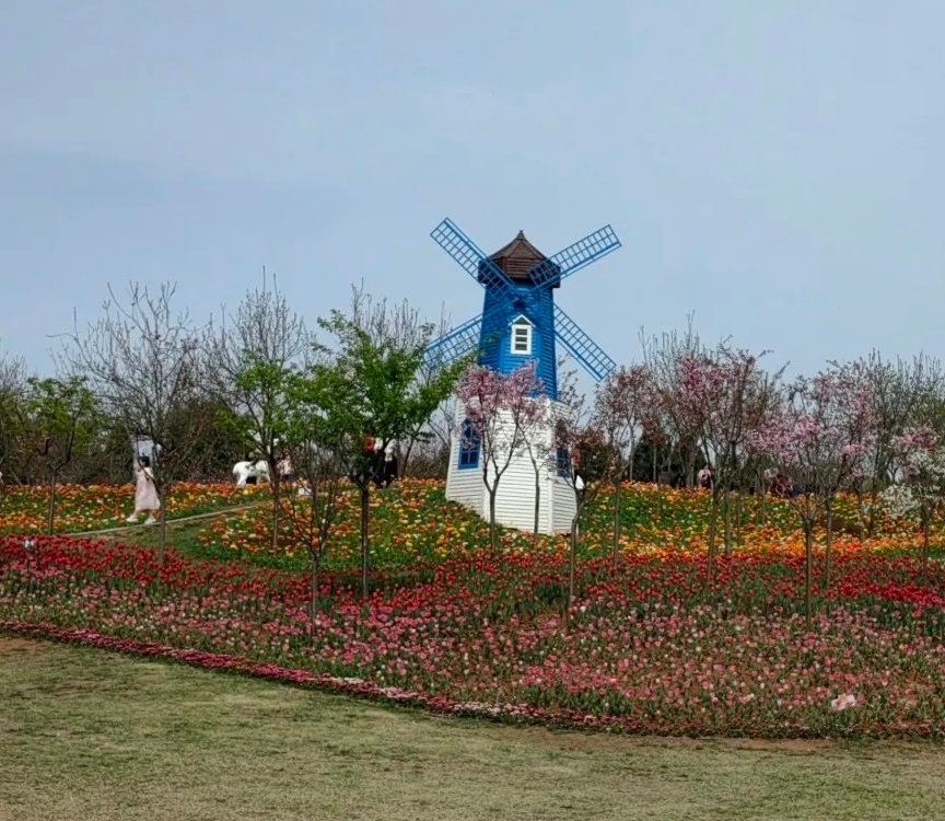 芳菲山谷旅行图片 1