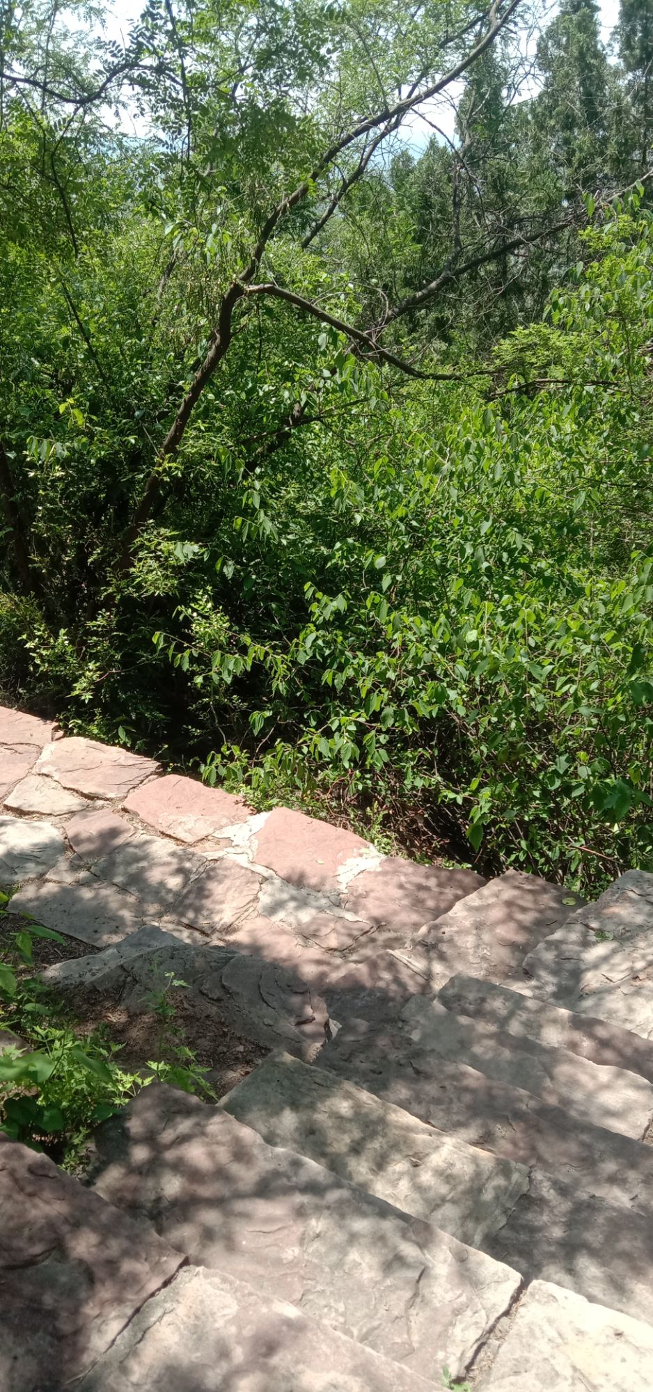 临城县桃源洞旅行图片 1
