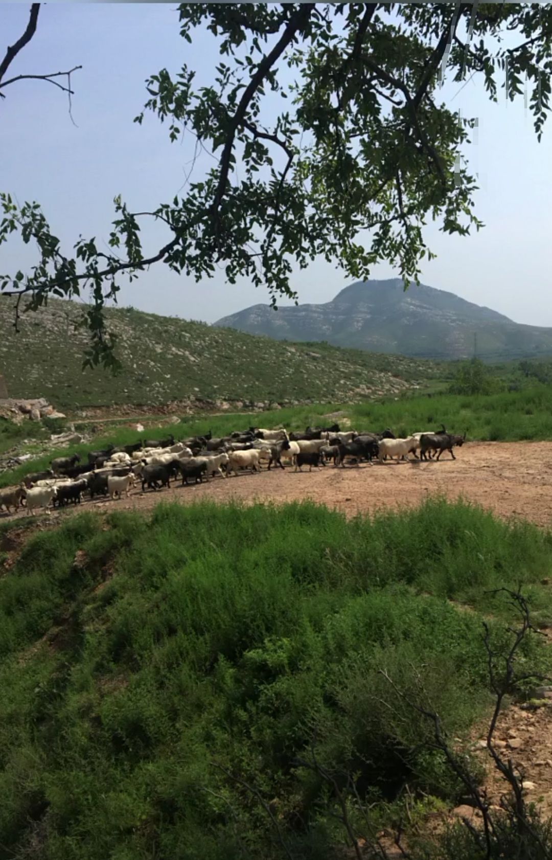 临城县桃源洞旅行图片 2