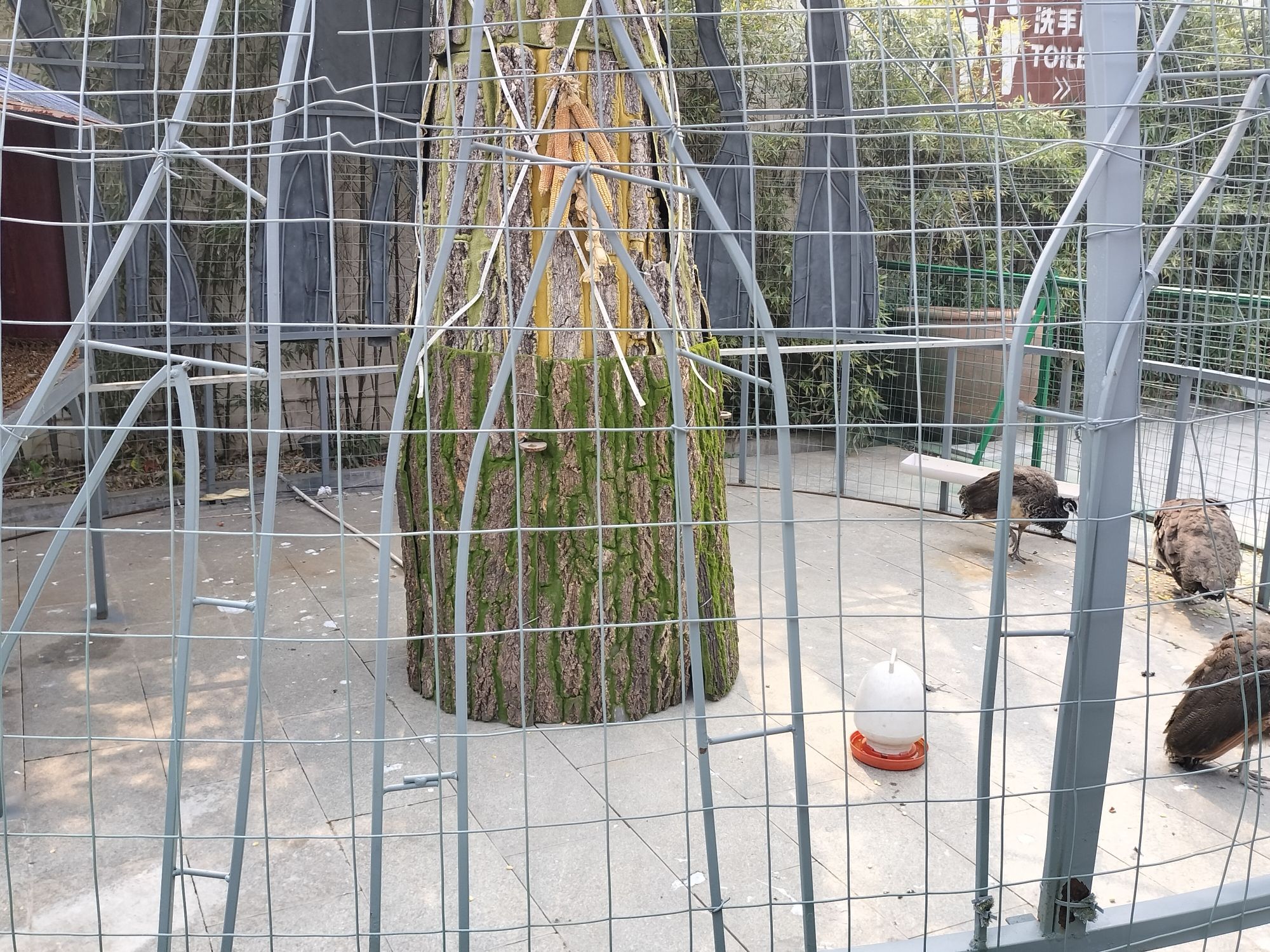 南阳宛拾叁民俗文化村旅行图片 2