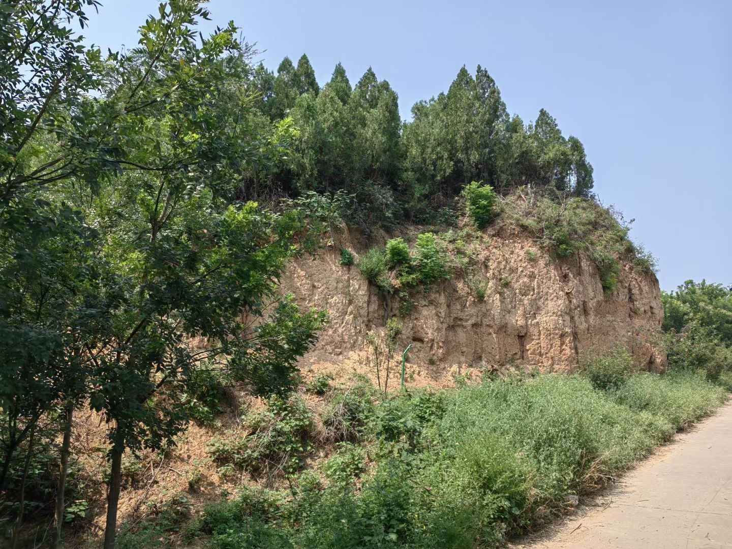 北魏江阳王元乂墓旅行图片 3